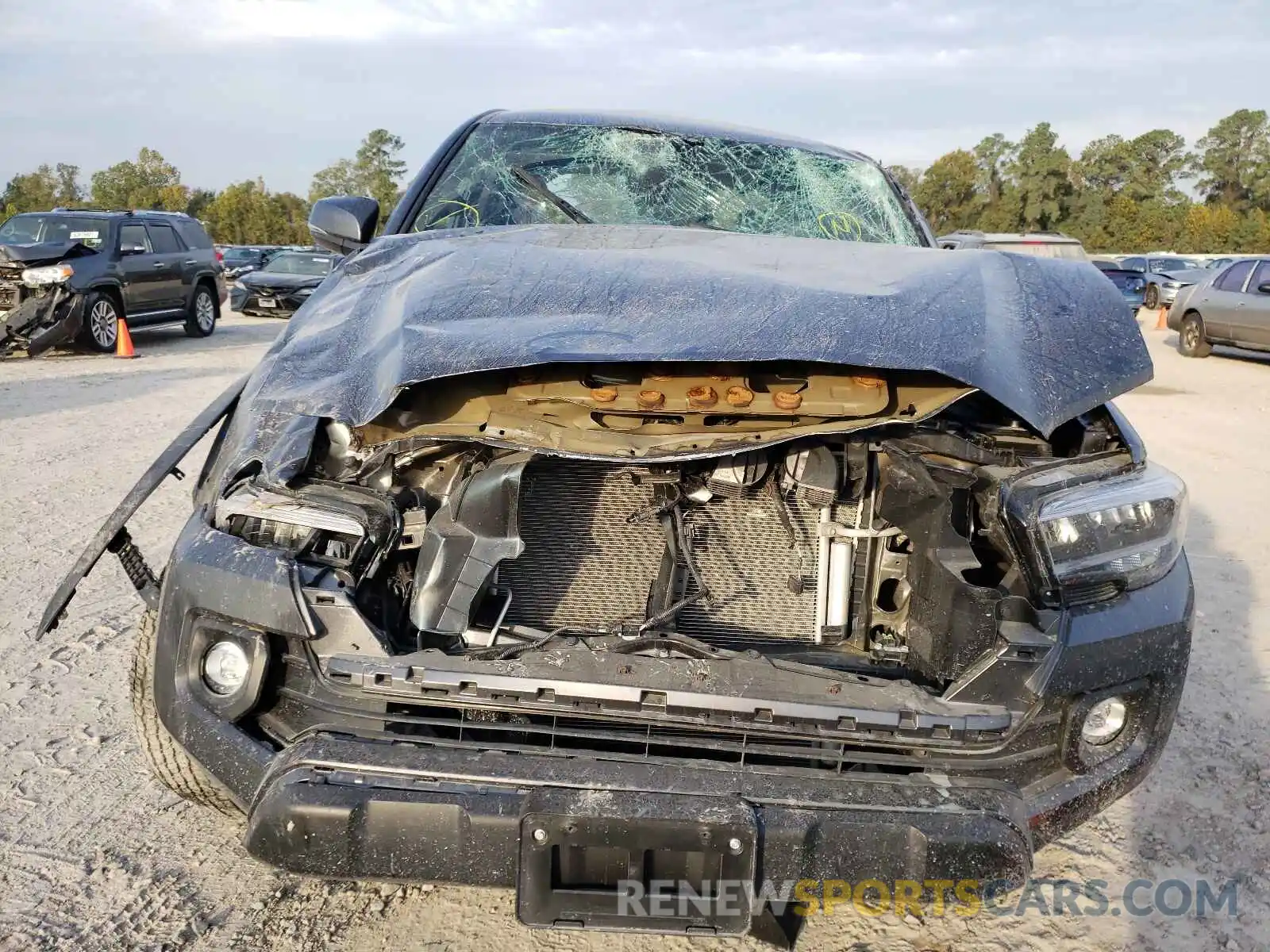 9 Photograph of a damaged car 3TMCZ5AN2MM441612 TOYOTA TACOMA 2021