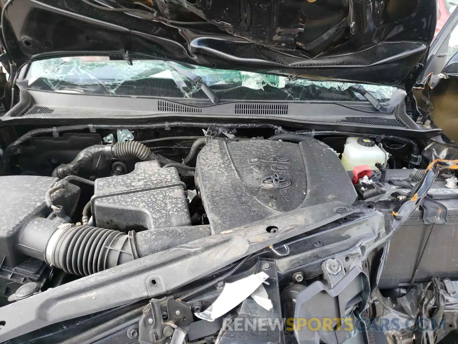 7 Photograph of a damaged car 3TMCZ5AN3MM419294 TOYOTA TACOMA 2021