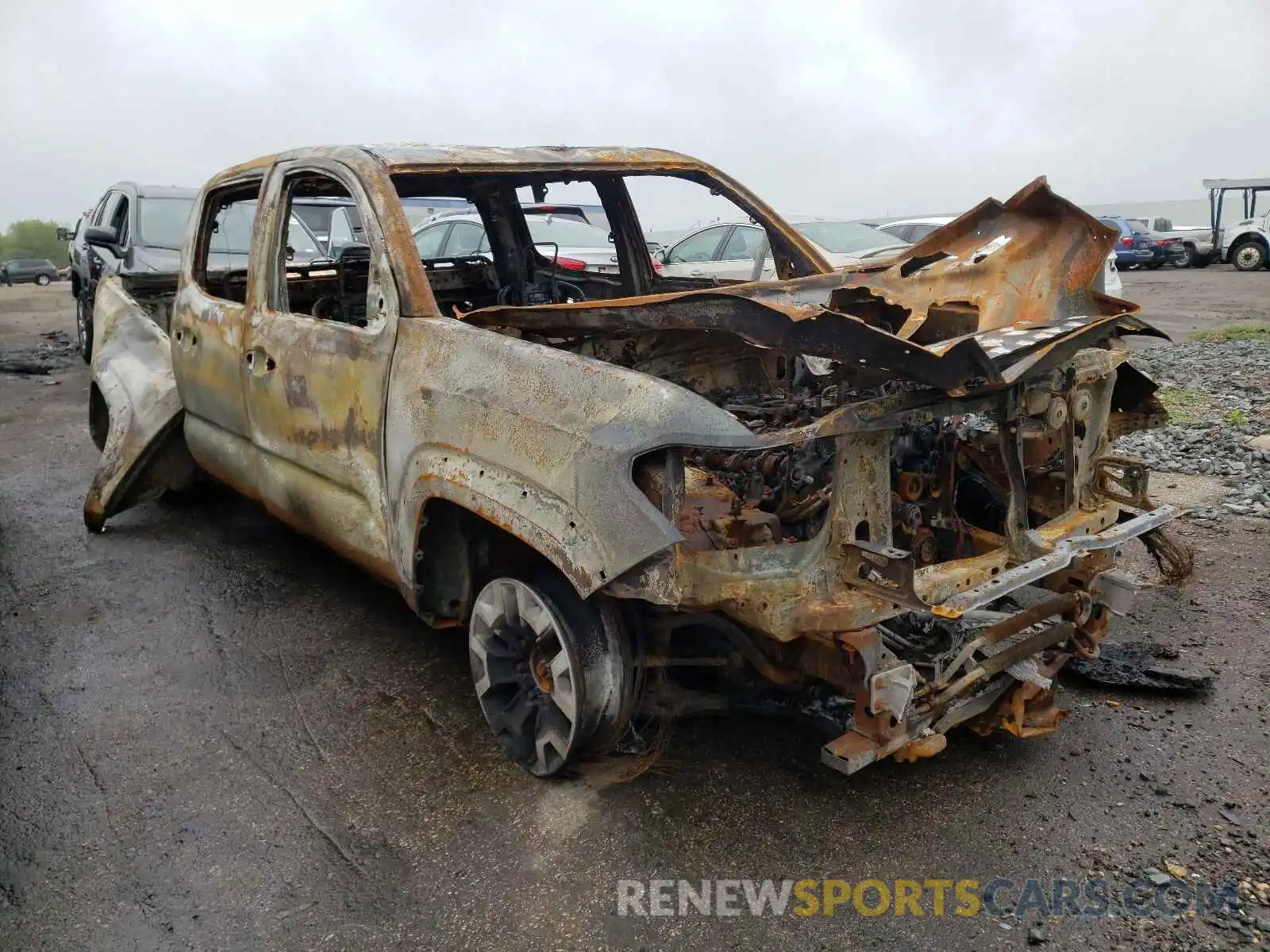 1 Photograph of a damaged car 3TMCZ5AN4MM419286 TOYOTA TACOMA 2021