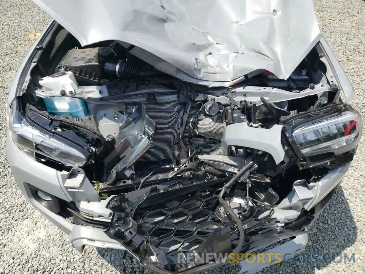 7 Photograph of a damaged car 3TMCZ5AN5MM405381 TOYOTA TACOMA 2021