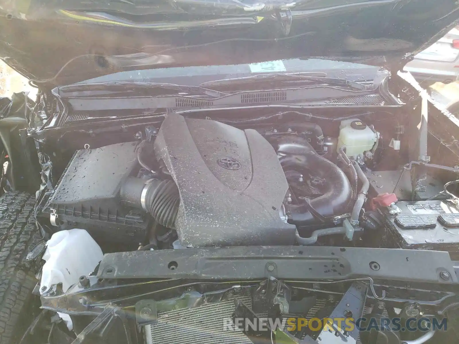 7 Photograph of a damaged car 3TMCZ5AN5MM425100 TOYOTA TACOMA 2021