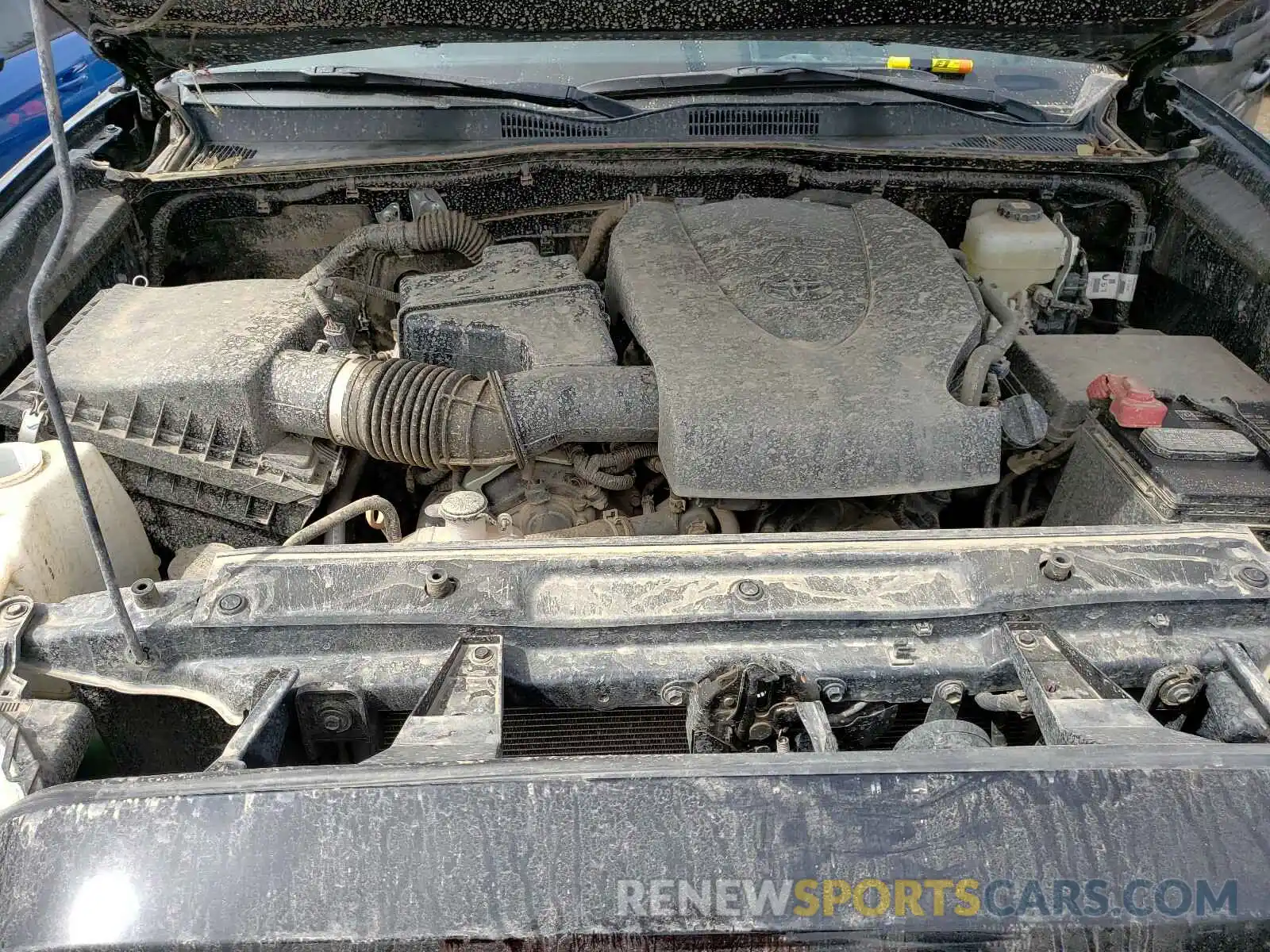 7 Photograph of a damaged car 3TMCZ5AN6MM381785 TOYOTA TACOMA 2021