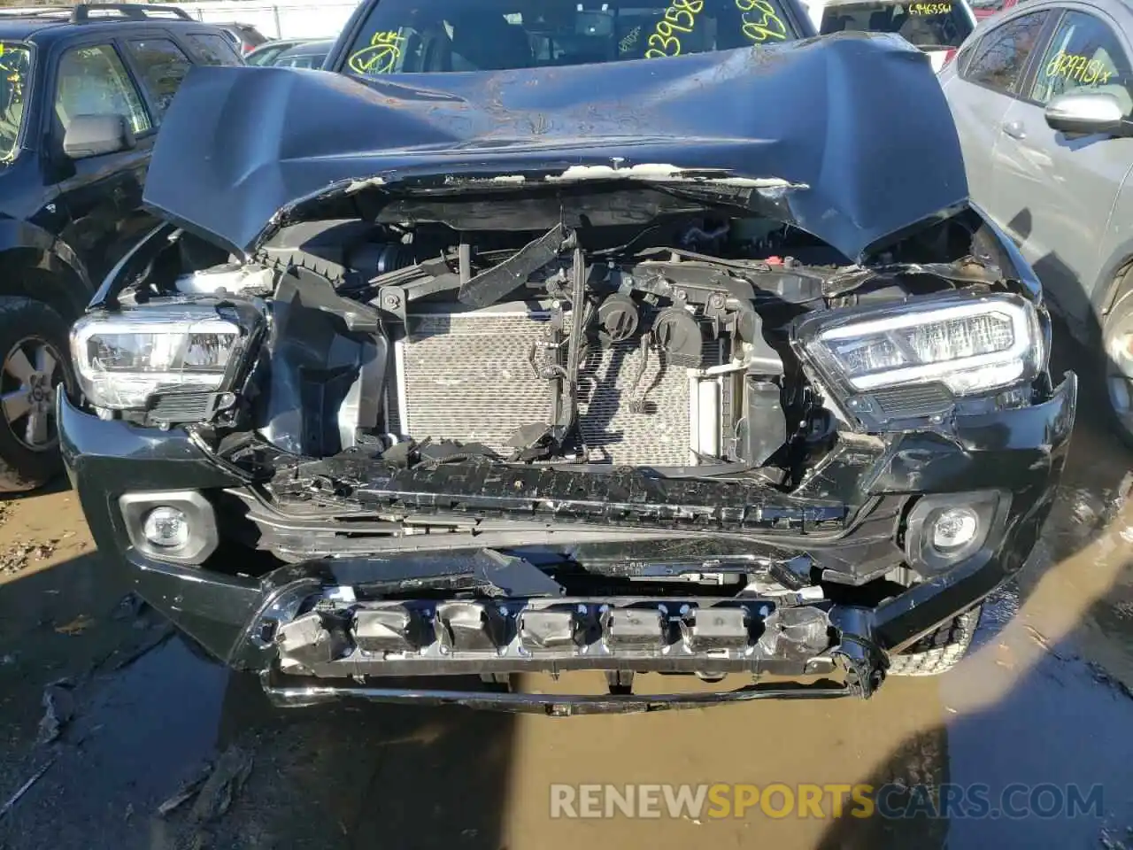 9 Photograph of a damaged car 3TMCZ5AN6MM390213 TOYOTA TACOMA 2021