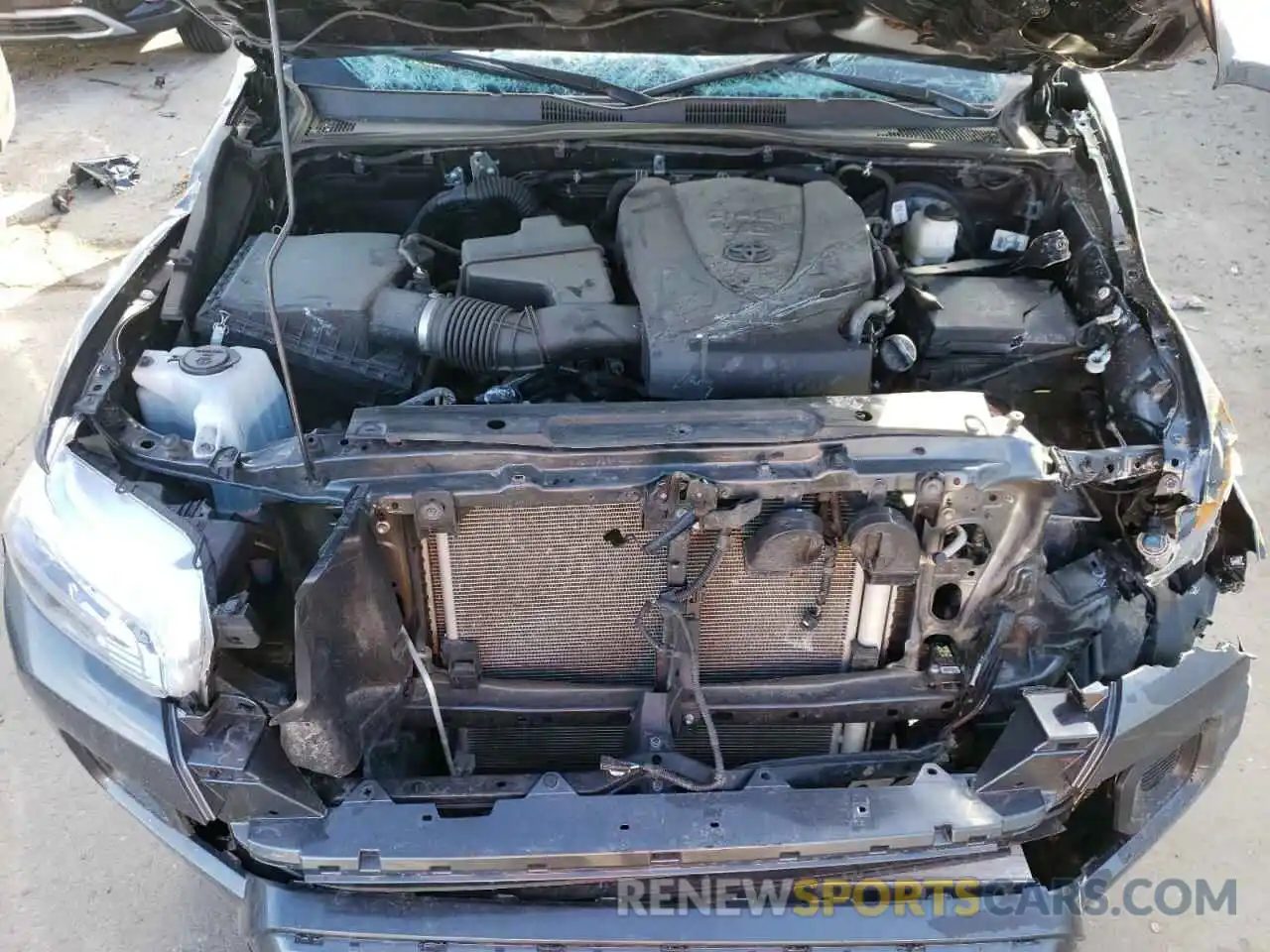 11 Photograph of a damaged car 3TMCZ5AN6MM415689 TOYOTA TACOMA 2021