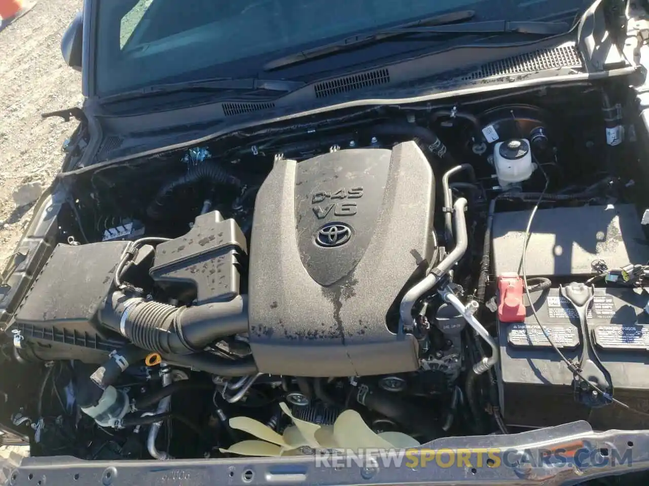 7 Photograph of a damaged car 3TMCZ5AN8MM407092 TOYOTA TACOMA 2021