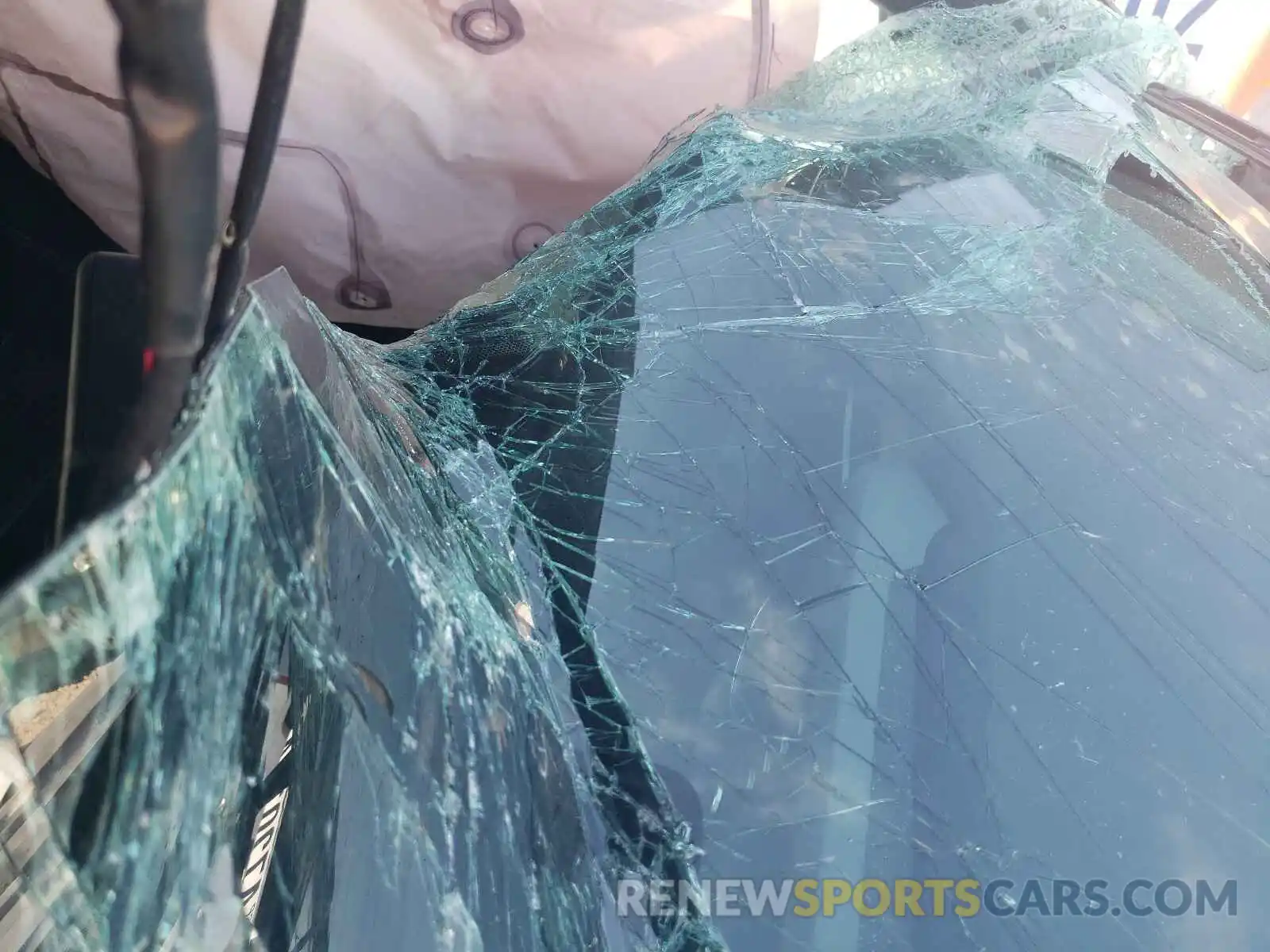 8 Photograph of a damaged car 3TMCZ5AN8MM408954 TOYOTA TACOMA 2021