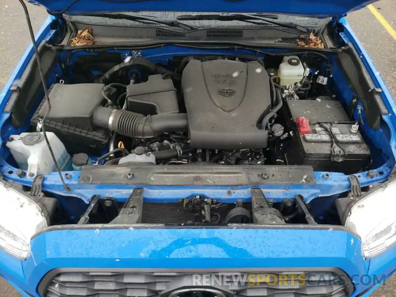 7 Photograph of a damaged car 3TMCZ5AN8MM431053 TOYOTA TACOMA 2021