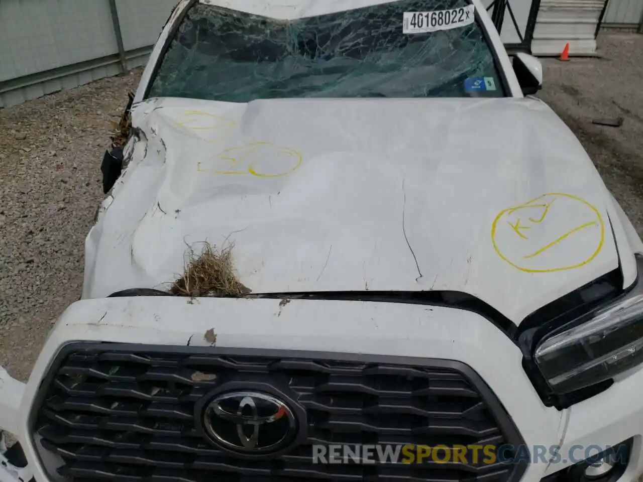 7 Photograph of a damaged car 3TMCZ5AN8MM445602 TOYOTA TACOMA 2021