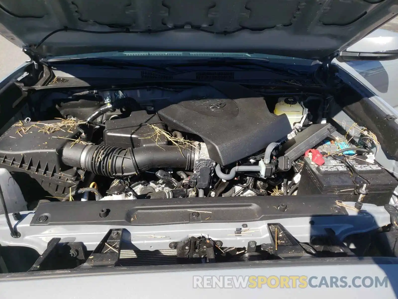 7 Photograph of a damaged car 3TYCZ5AN7MT032347 TOYOTA TACOMA 2021