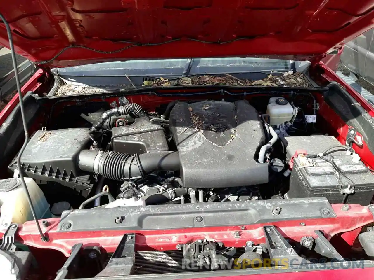 7 Photograph of a damaged car 5TFCZ5AN3MX260819 TOYOTA TACOMA 2021