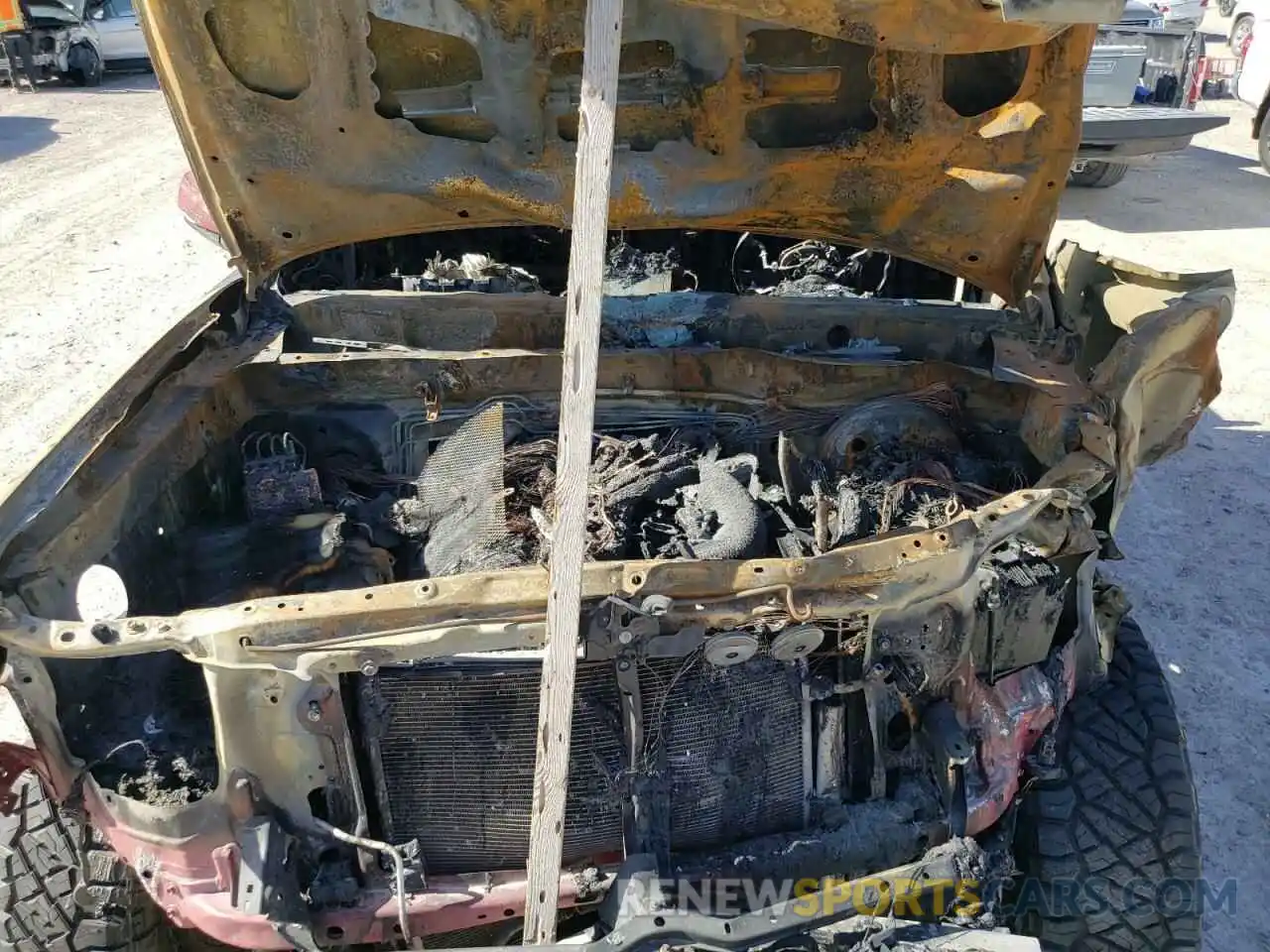 11 Photograph of a damaged car 5TFCZ5AN4MX245813 TOYOTA TACOMA 2021