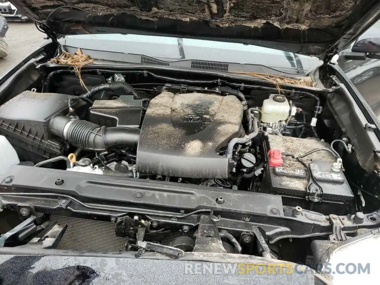 7 Photograph of a damaged car 5TFCZ5AN8MX270701 TOYOTA TACOMA 2021