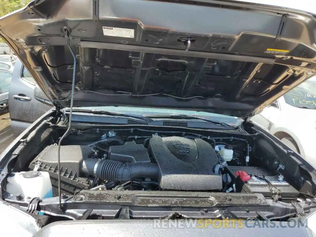 7 Photograph of a damaged car 3TMCZ5AN2NM502233 TOYOTA TACOMA 2022