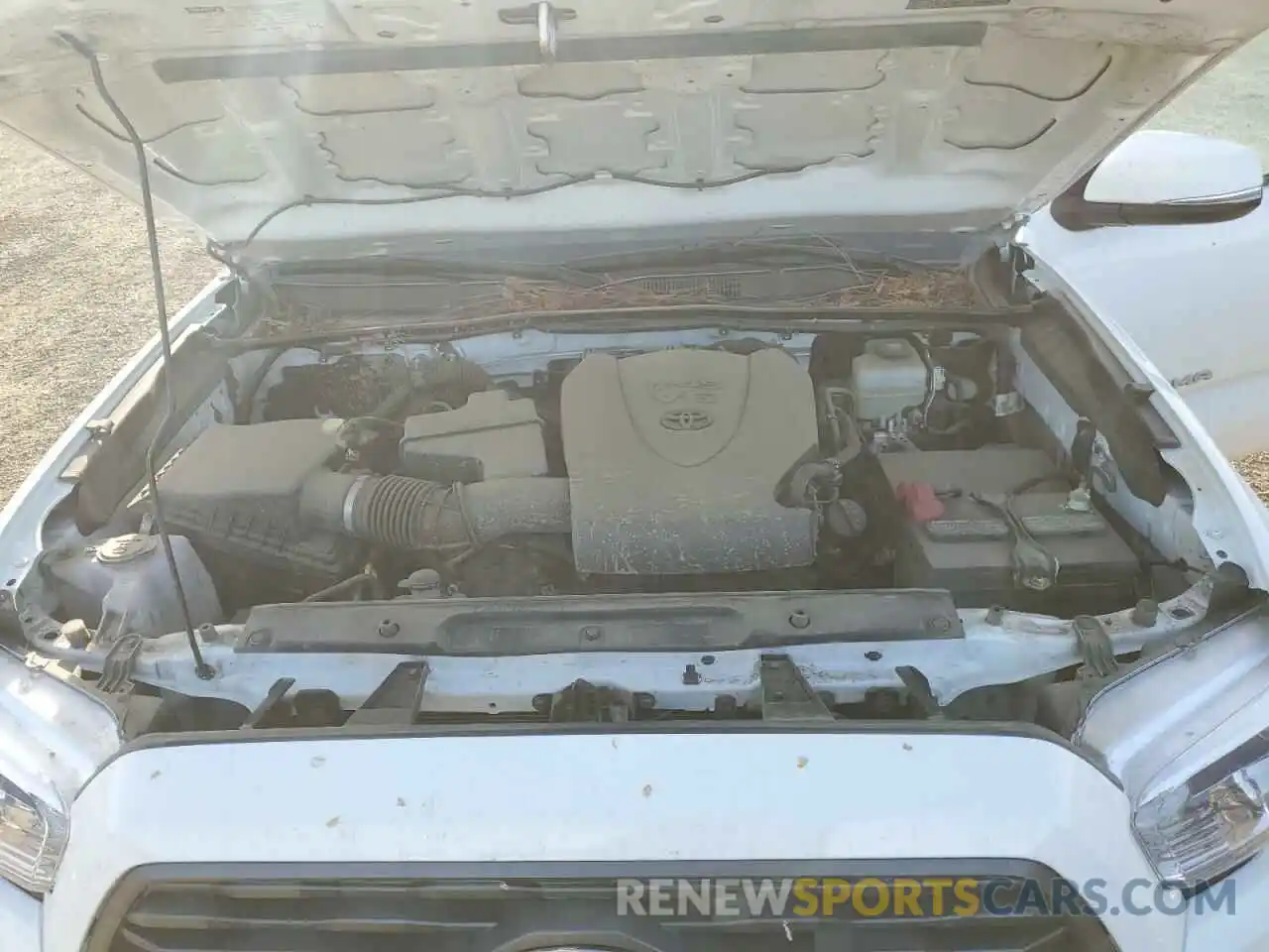 11 Photograph of a damaged car 3TMCZ5AN5NM471995 TOYOTA TACOMA 2022