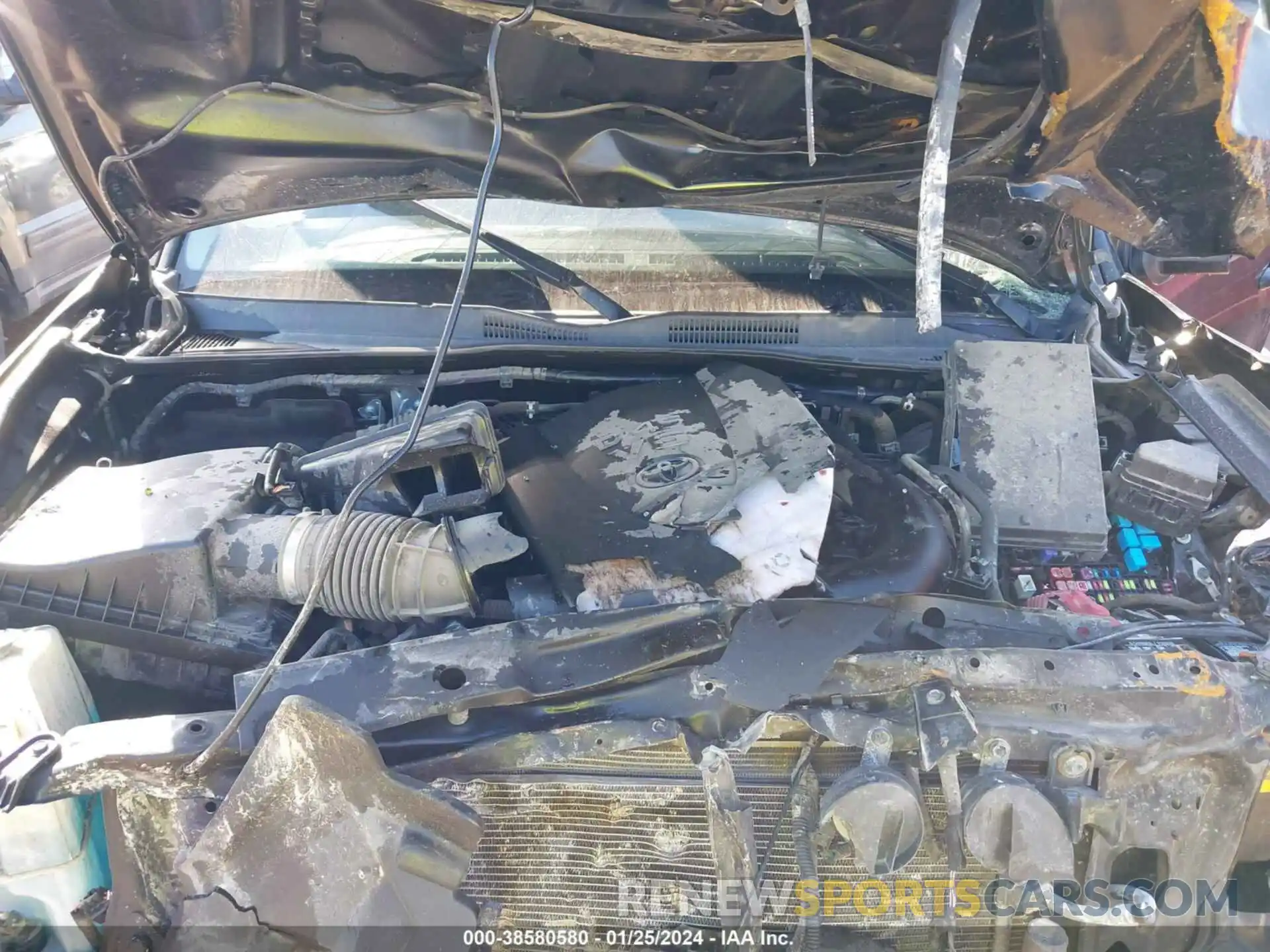 10 Photograph of a damaged car 3TMCZ5AN5NM480521 TOYOTA TACOMA 2022