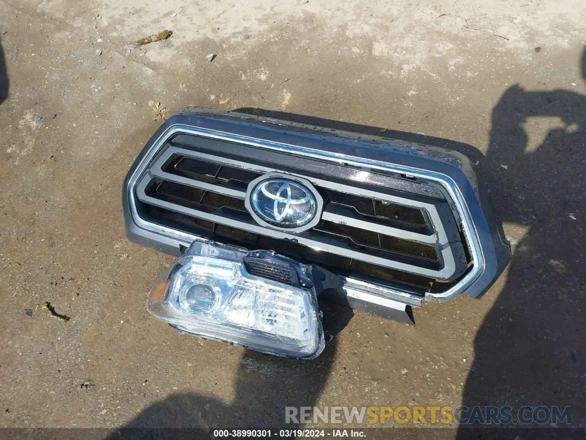 12 Photograph of a damaged car 3TMCZ5AN8NM531249 TOYOTA TACOMA 2022