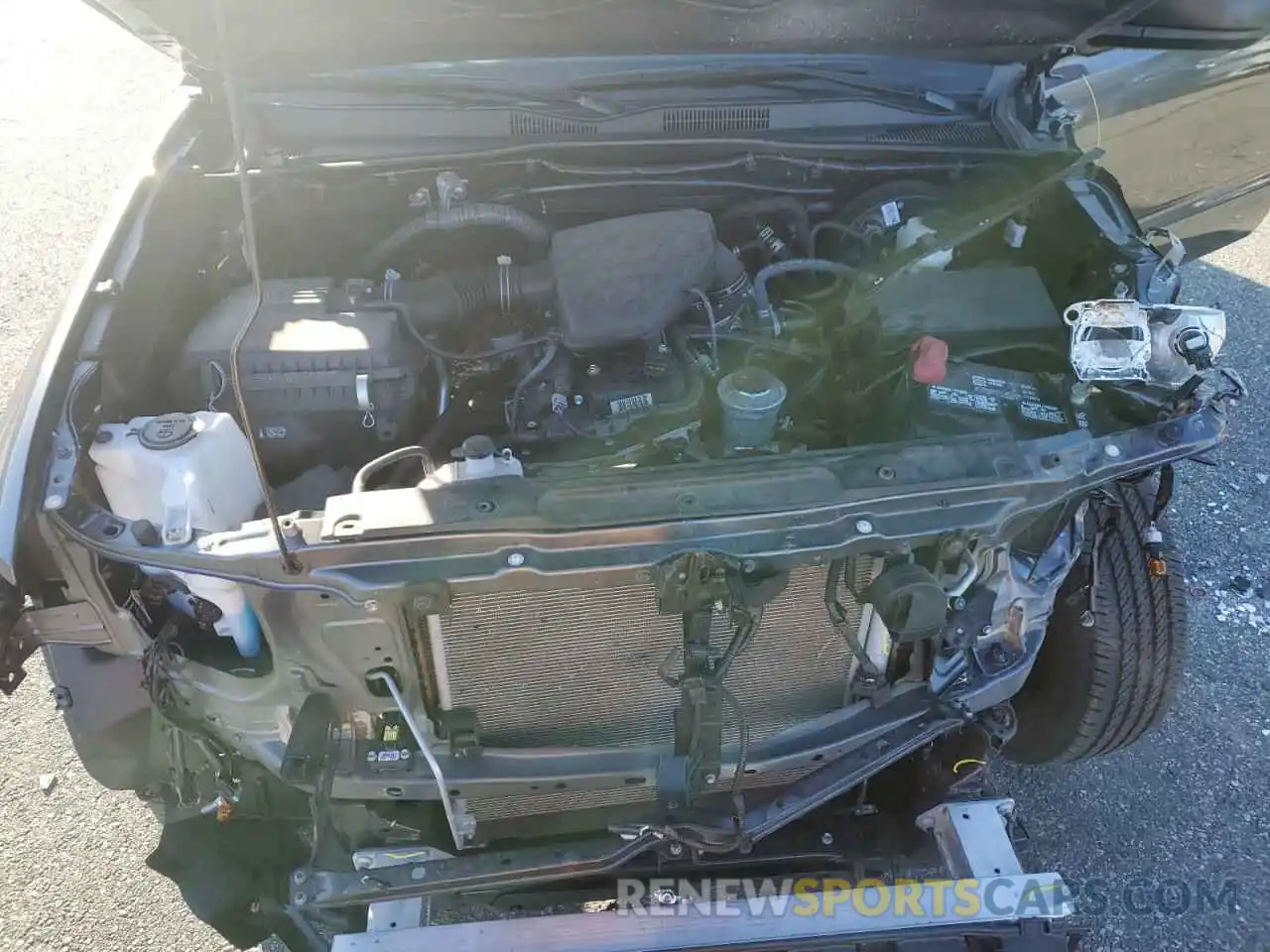 11 Photograph of a damaged car 3TYSX5EN8NT013044 TOYOTA TACOMA 2022