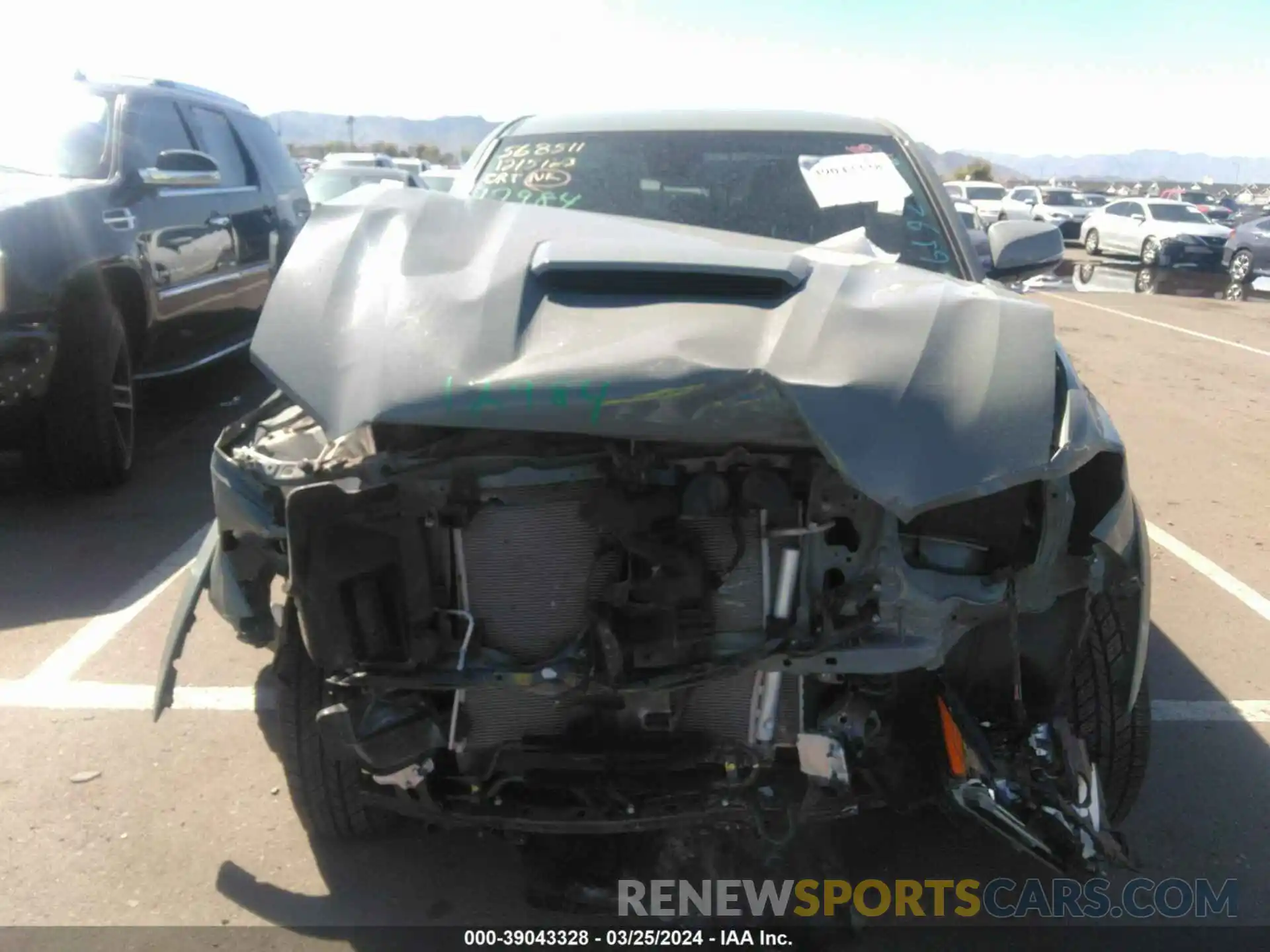 11 Photograph of a damaged car 3TMCZ5AN1PM619269 TOYOTA TACOMA 2023