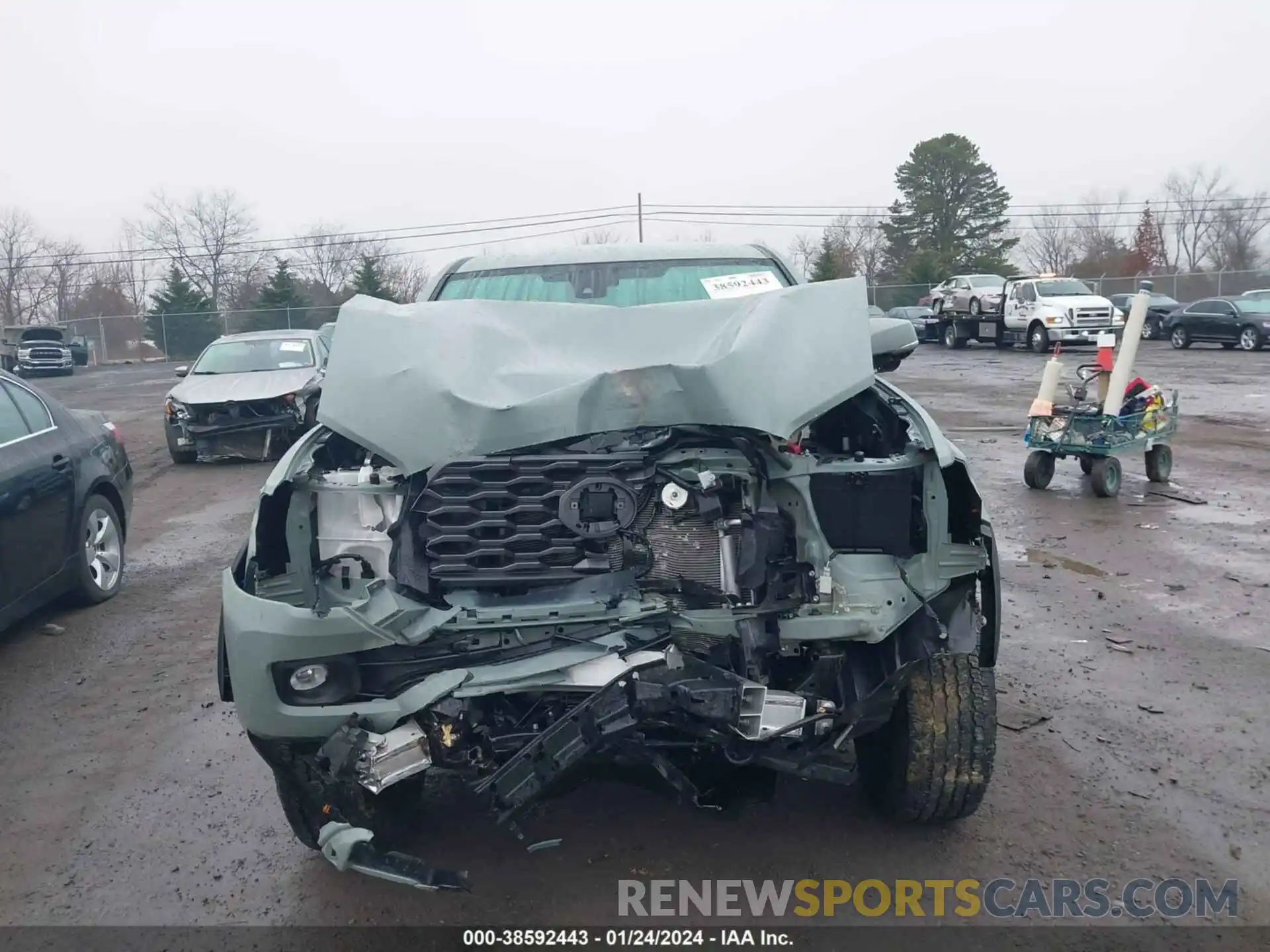 12 Photograph of a damaged car 3TMCZ5AN4PM569368 TOYOTA TACOMA 2023