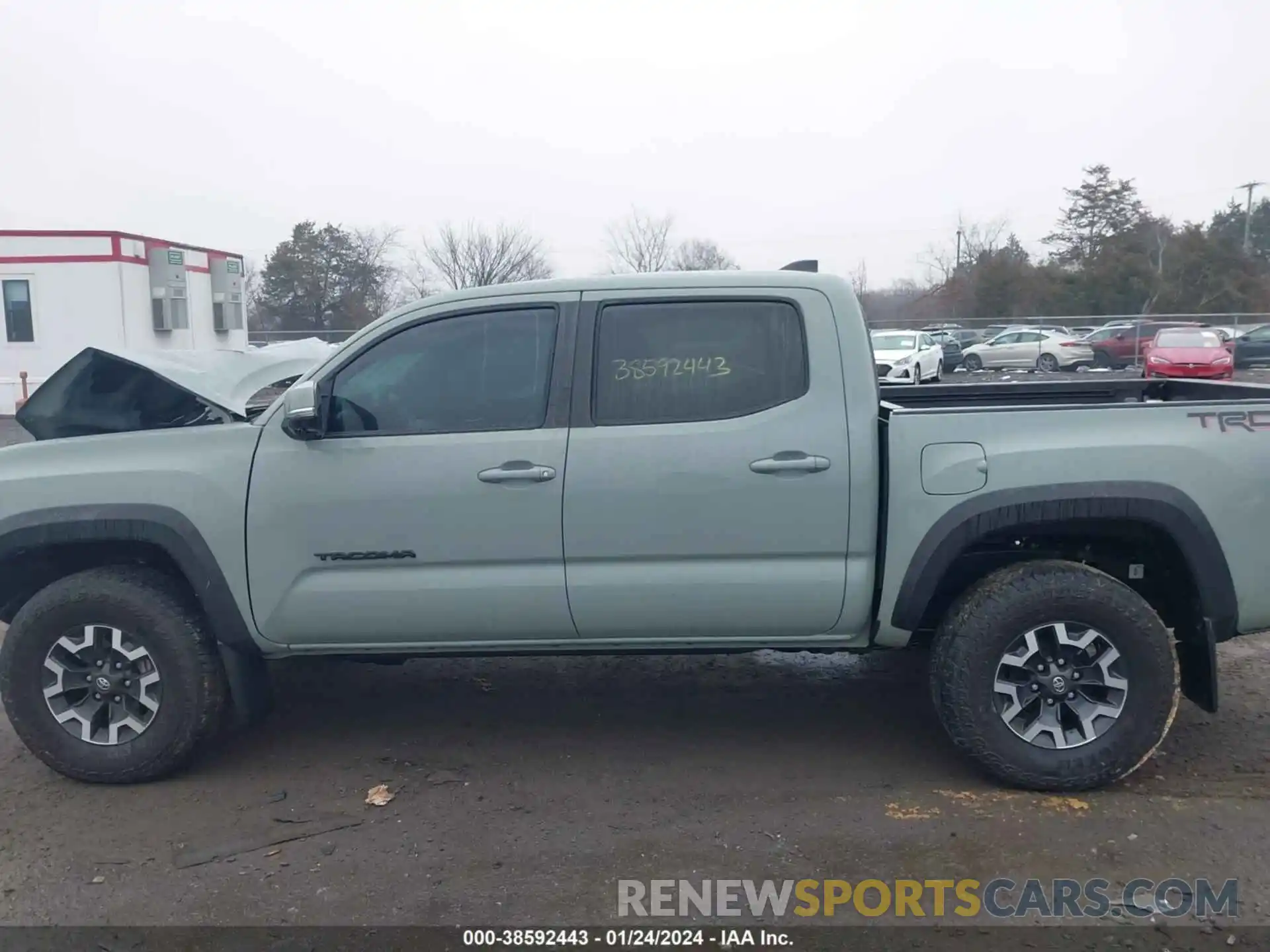 14 Photograph of a damaged car 3TMCZ5AN4PM569368 TOYOTA TACOMA 2023