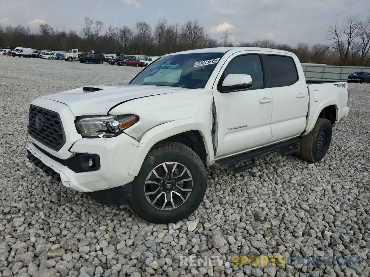 1 Photograph of a damaged car 3TMCZ5AN5PM558105 TOYOTA TACOMA 2023