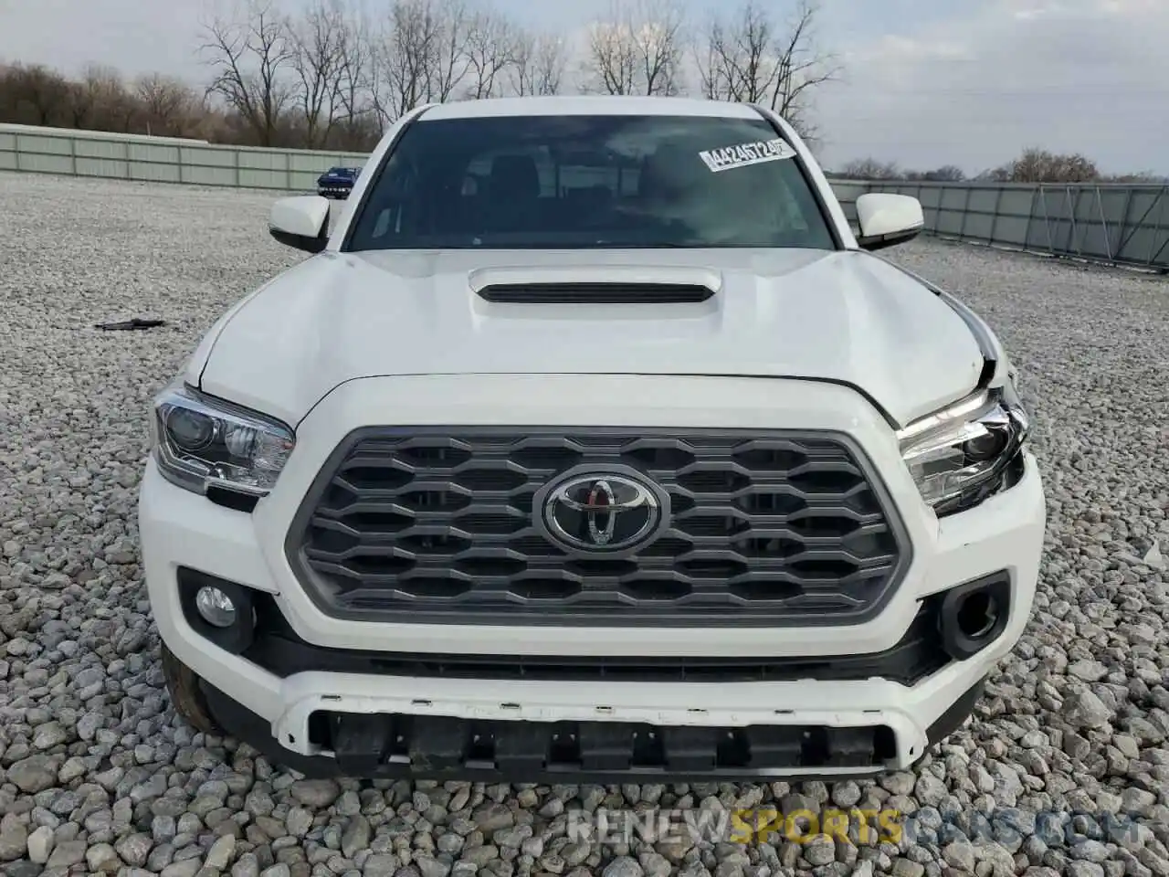 5 Photograph of a damaged car 3TMCZ5AN5PM558105 TOYOTA TACOMA 2023