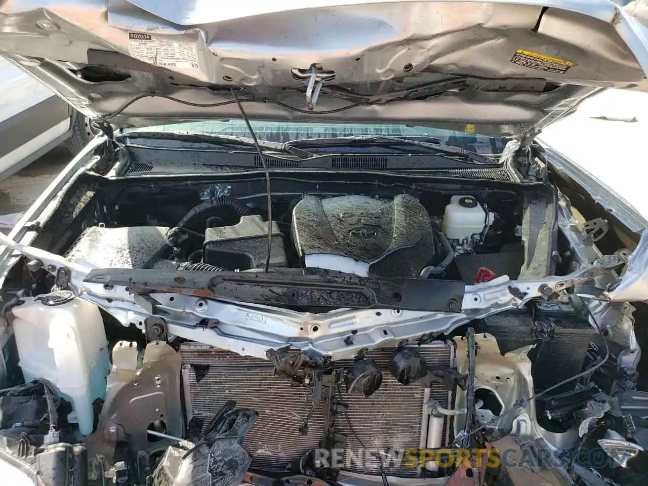 11 Photograph of a damaged car 3TMCZ5AN5PM627679 TOYOTA TACOMA 2023