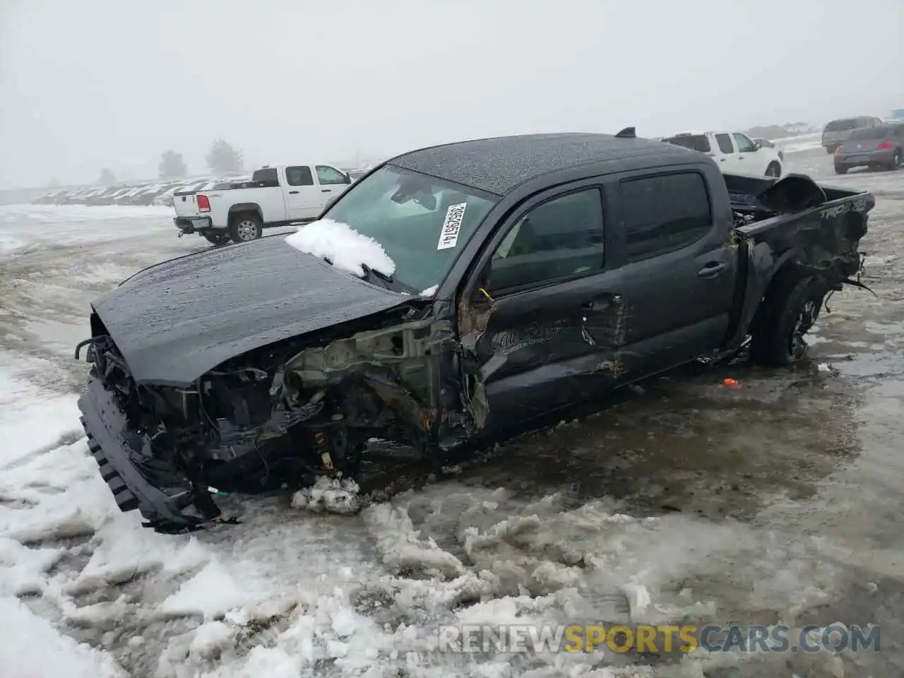 1 Photograph of a damaged car 3TMCZ5AN7PM597908 TOYOTA TACOMA 2023