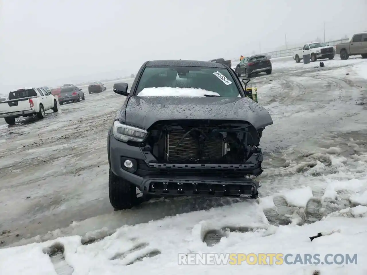 5 Photograph of a damaged car 3TMCZ5AN7PM597908 TOYOTA TACOMA 2023