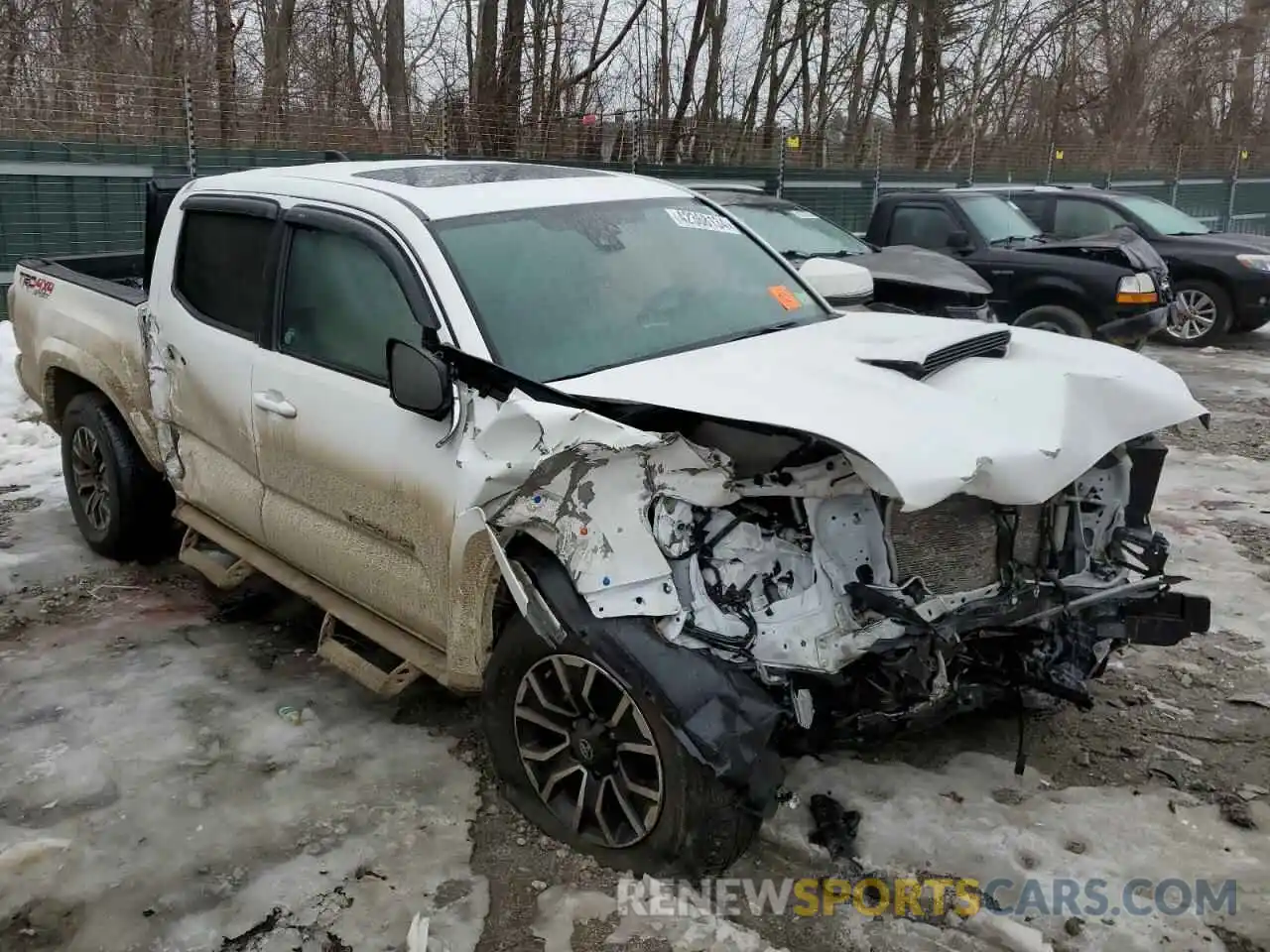 4 Photograph of a damaged car 3TMCZ5AN9PM564506 TOYOTA TACOMA 2023