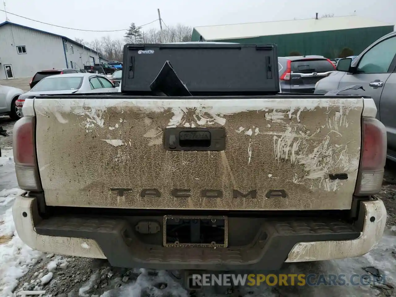 6 Photograph of a damaged car 3TMCZ5AN9PM564506 TOYOTA TACOMA 2023