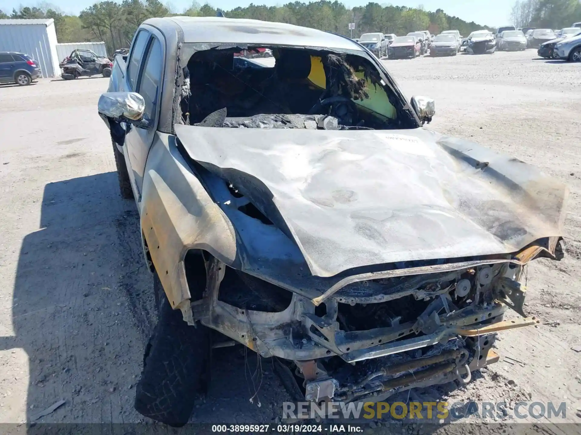 6 Photograph of a damaged car 3TMCZ5AN9PM612554 TOYOTA TACOMA 2023