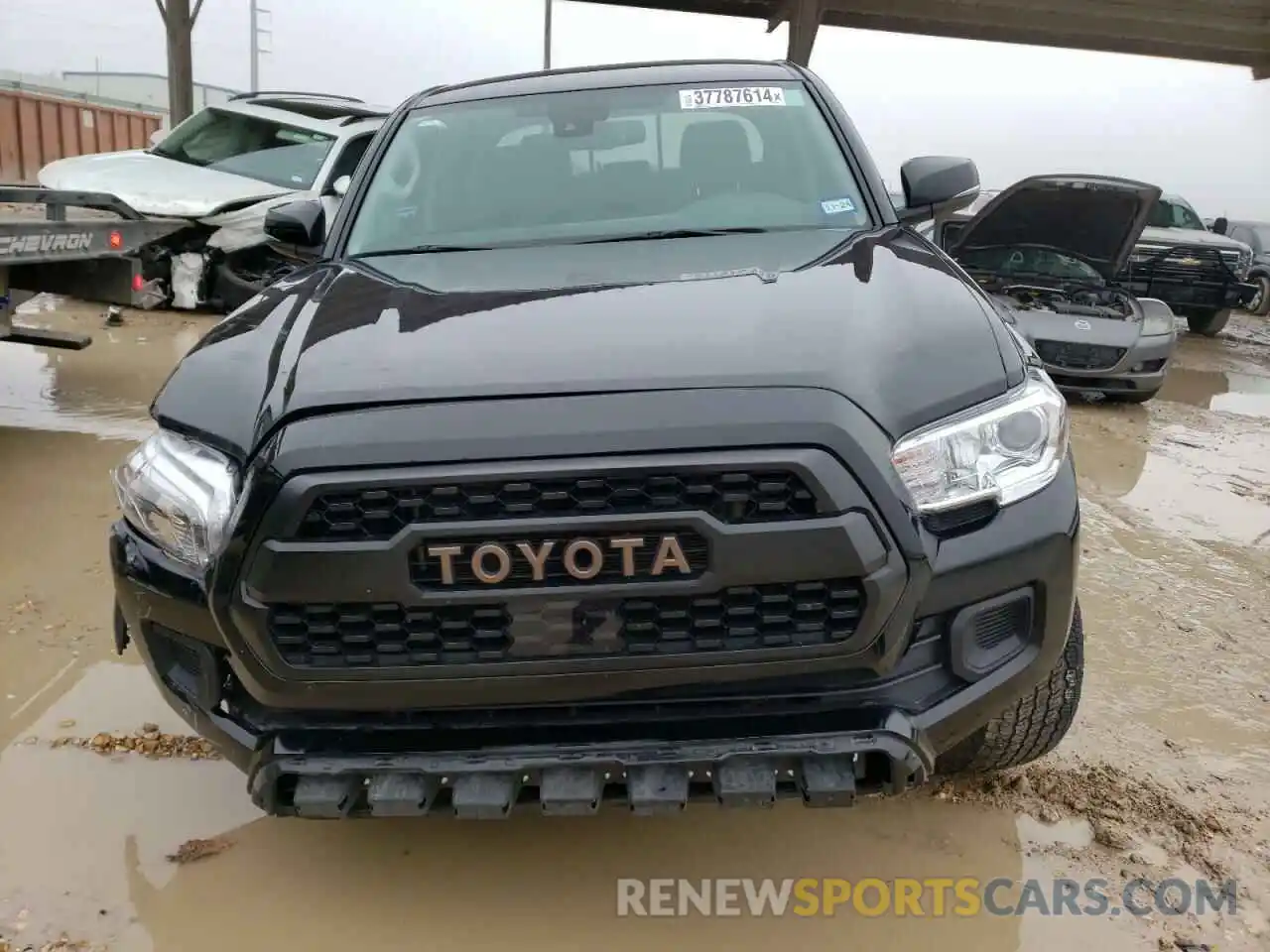 5 Photograph of a damaged car 3TMCZ5ANXPM539291 TOYOTA TACOMA 2023