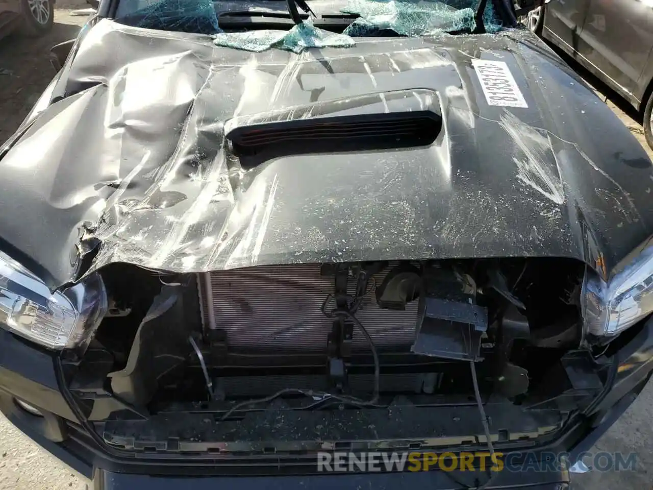 11 Photograph of a damaged car 3TMCZ5ANXPM624566 TOYOTA TACOMA 2023