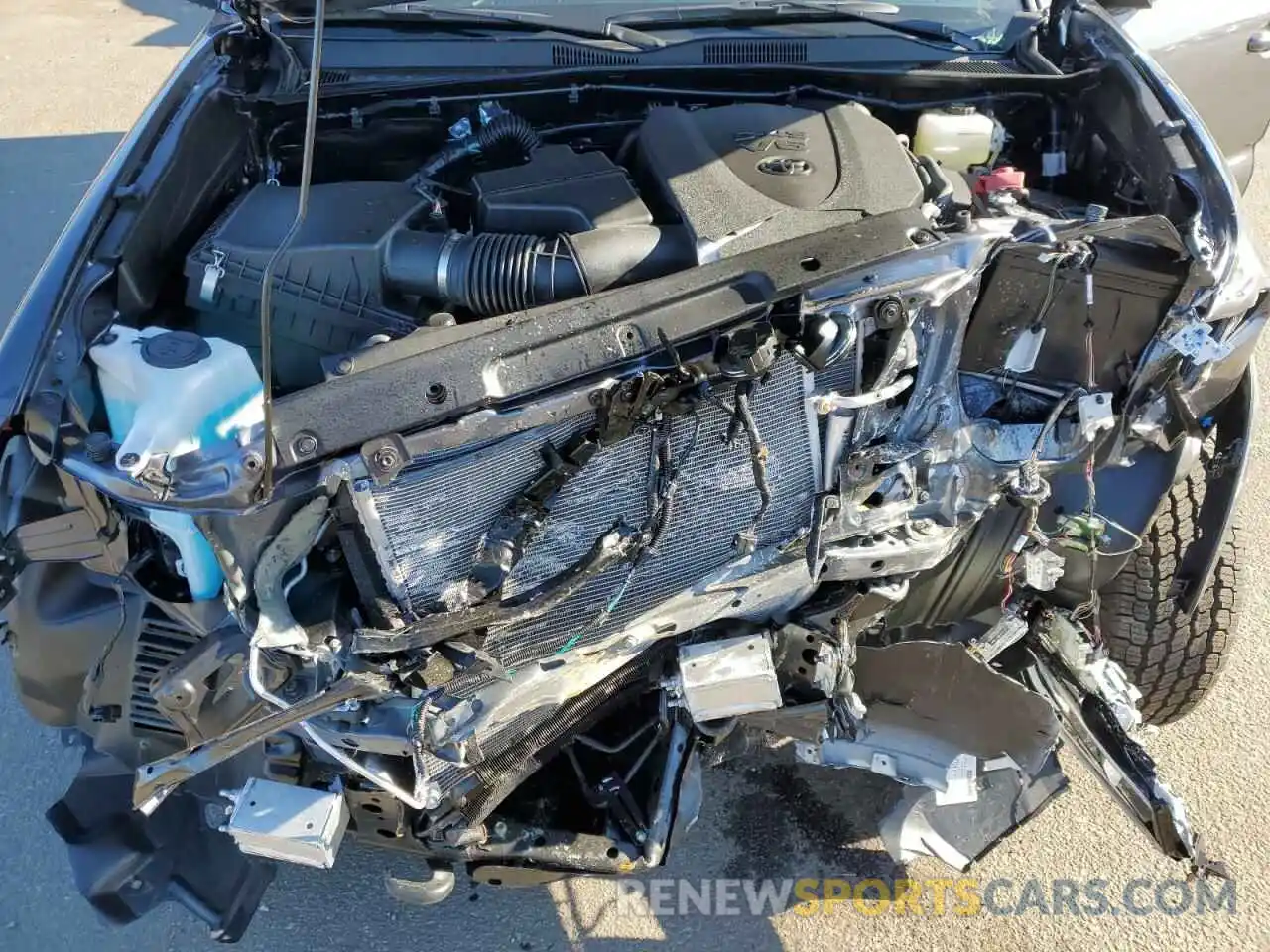 11 Photograph of a damaged car 3TYCZ5AN3PT164140 TOYOTA TACOMA 2023