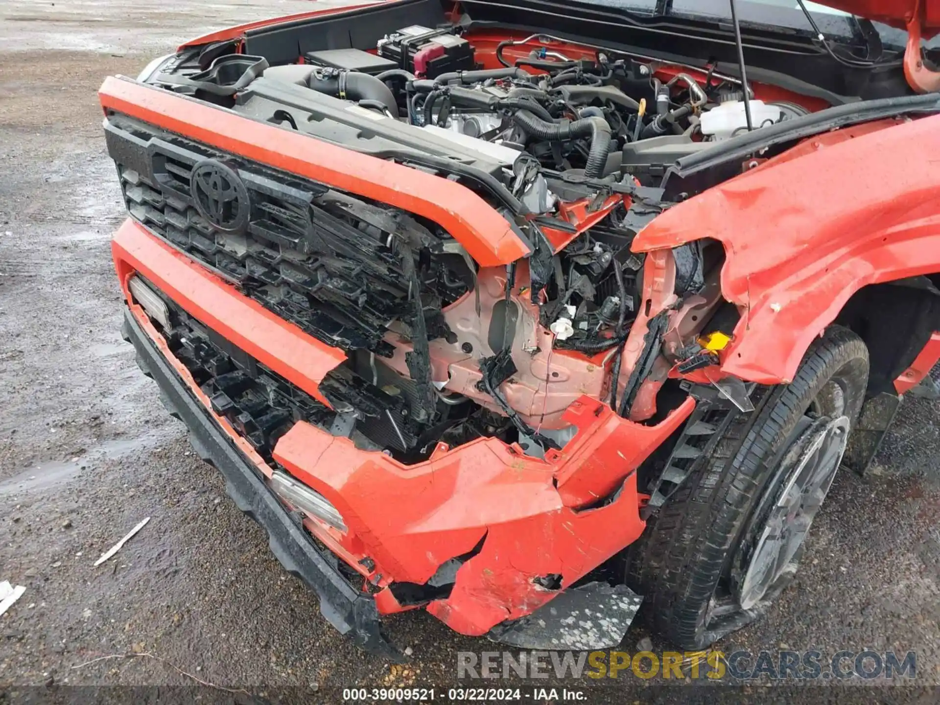 6 Photograph of a damaged car 3TYLB5JN9RT003282 TOYOTA TACOMA 2024