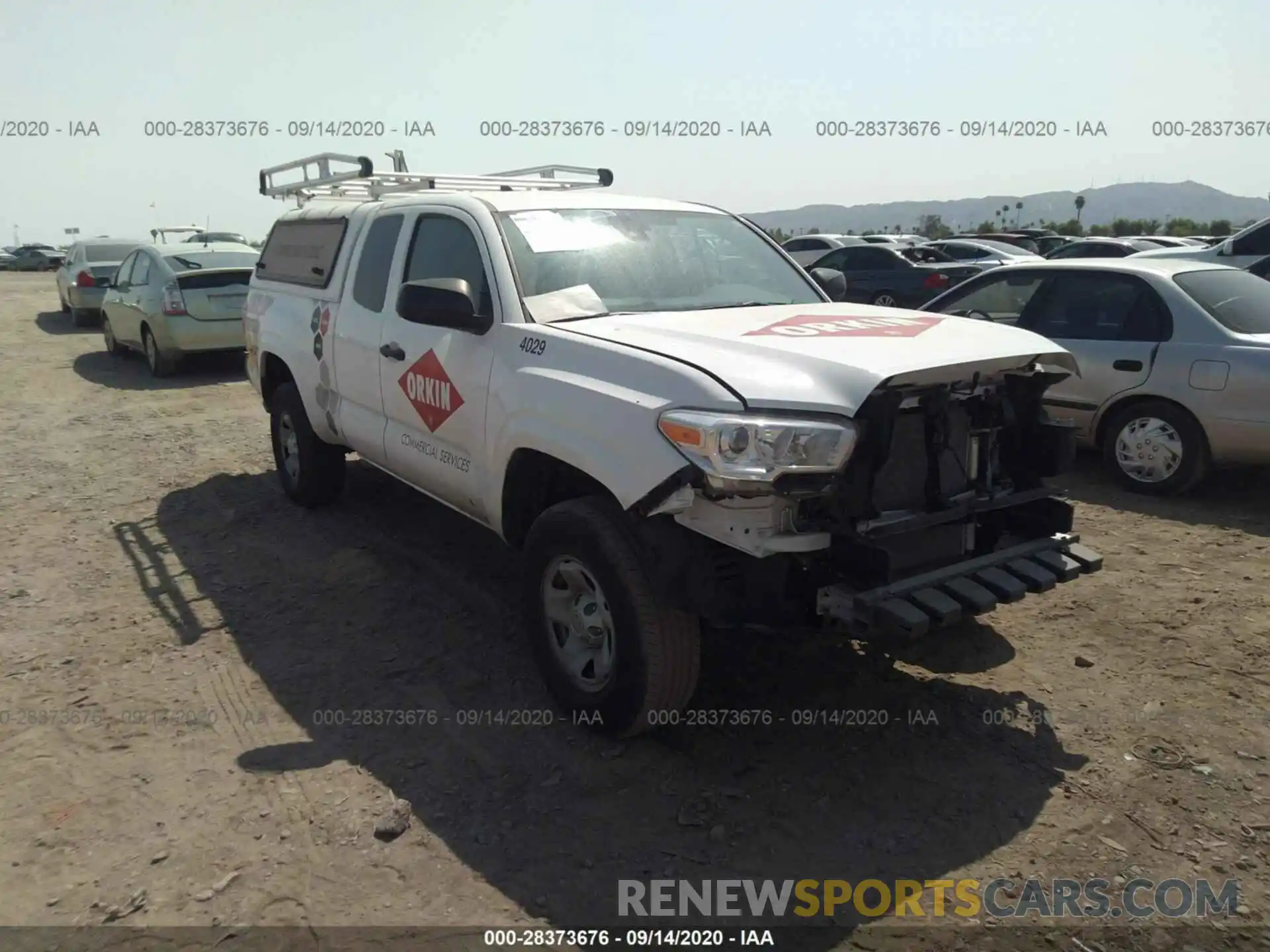 12 Photograph of a damaged car 5TFRX5GN8KX145007 TOYOTA TACOMA 2WD 2019