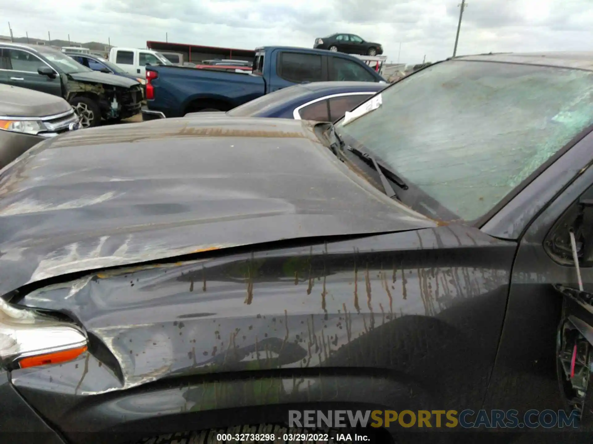 6 Photograph of a damaged car 3TYAX5GN4NT036250 TOYOTA TACOMA 2WD 2022