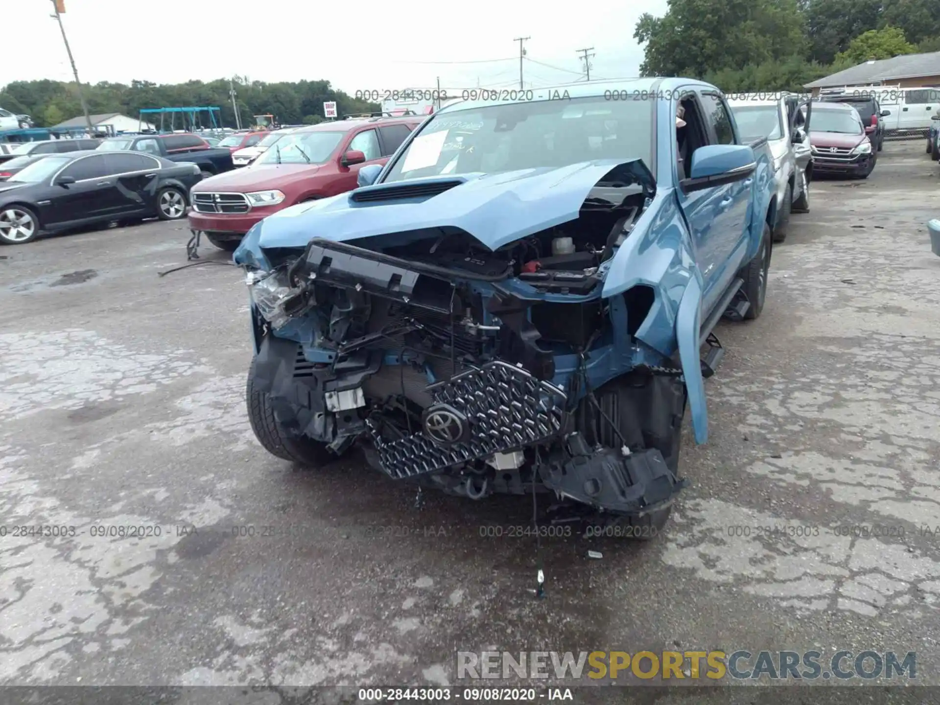 6 Photograph of a damaged car 3TMCZ5AN0KM201939 TOYOTA TACOMA 4WD 2019