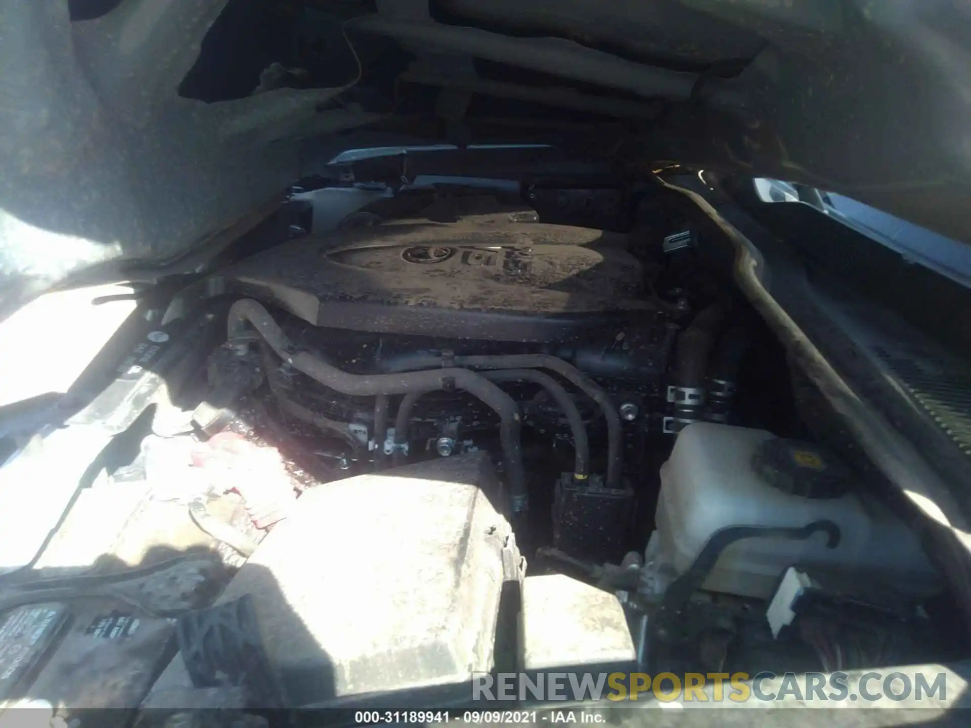 10 Photograph of a damaged car 3TMCZ5AN0KM244855 TOYOTA TACOMA 4WD 2019