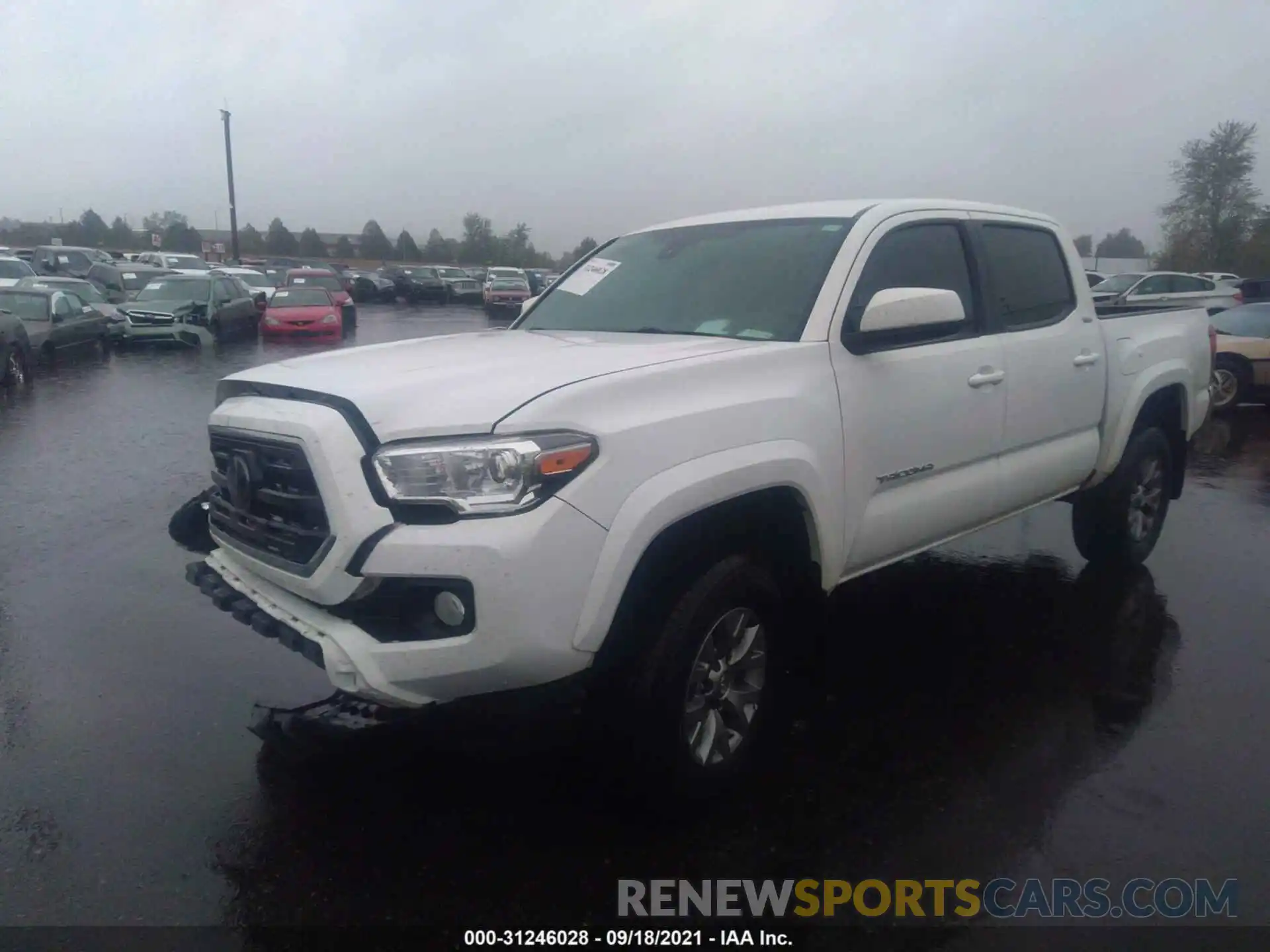 2 Photograph of a damaged car 3TMCZ5AN1KM224601 TOYOTA TACOMA 4WD 2019