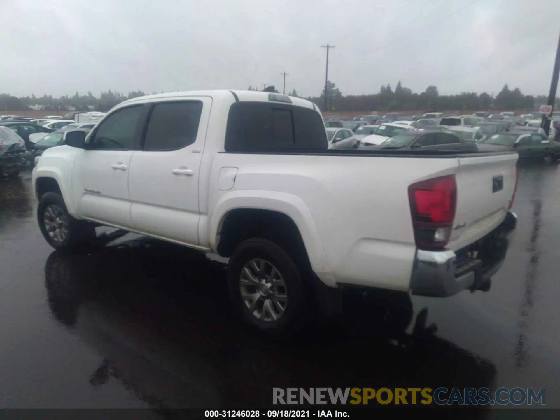 3 Photograph of a damaged car 3TMCZ5AN1KM224601 TOYOTA TACOMA 4WD 2019