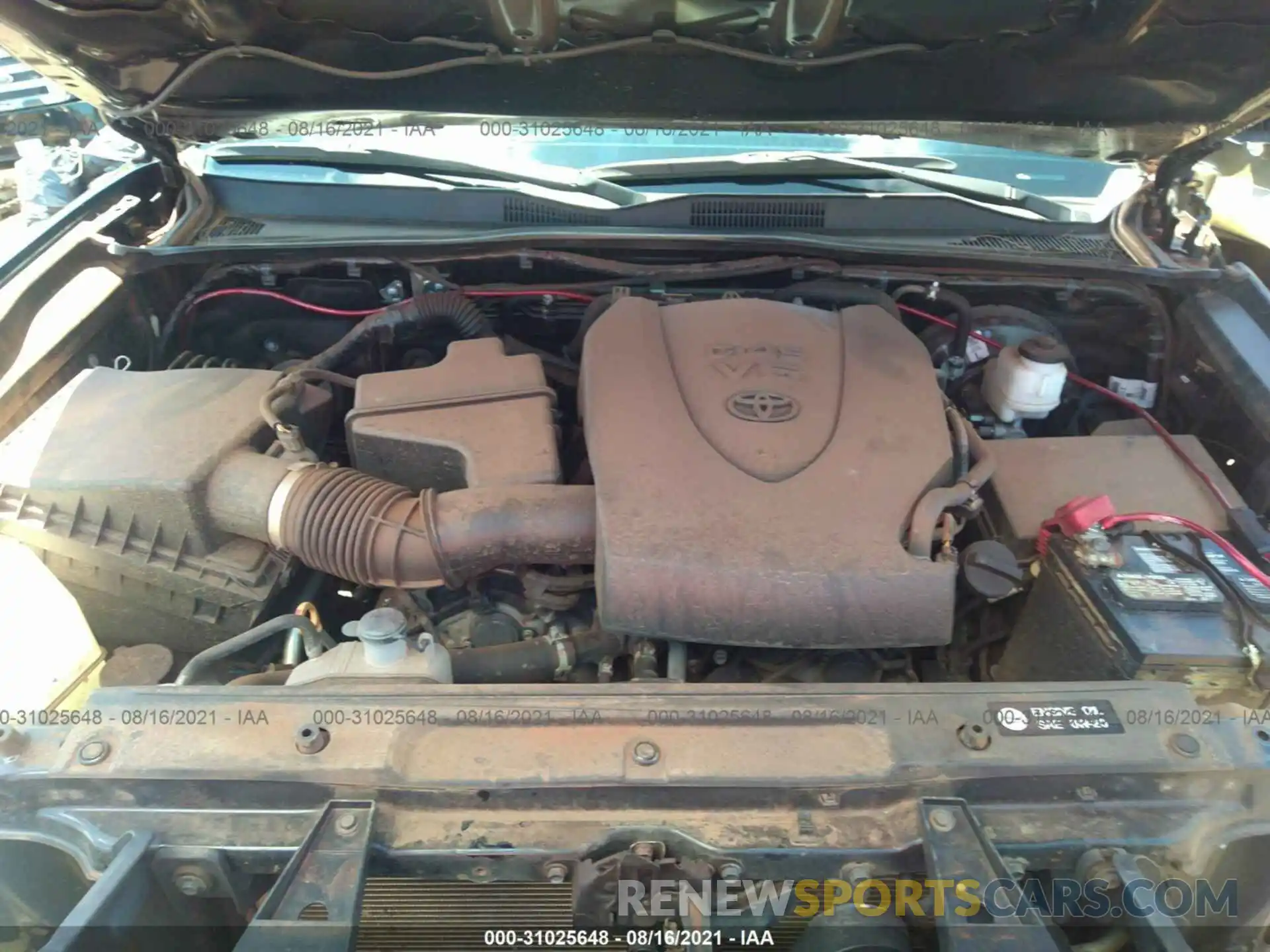 10 Photograph of a damaged car 3TMCZ5AN2KM214854 TOYOTA TACOMA 4WD 2019