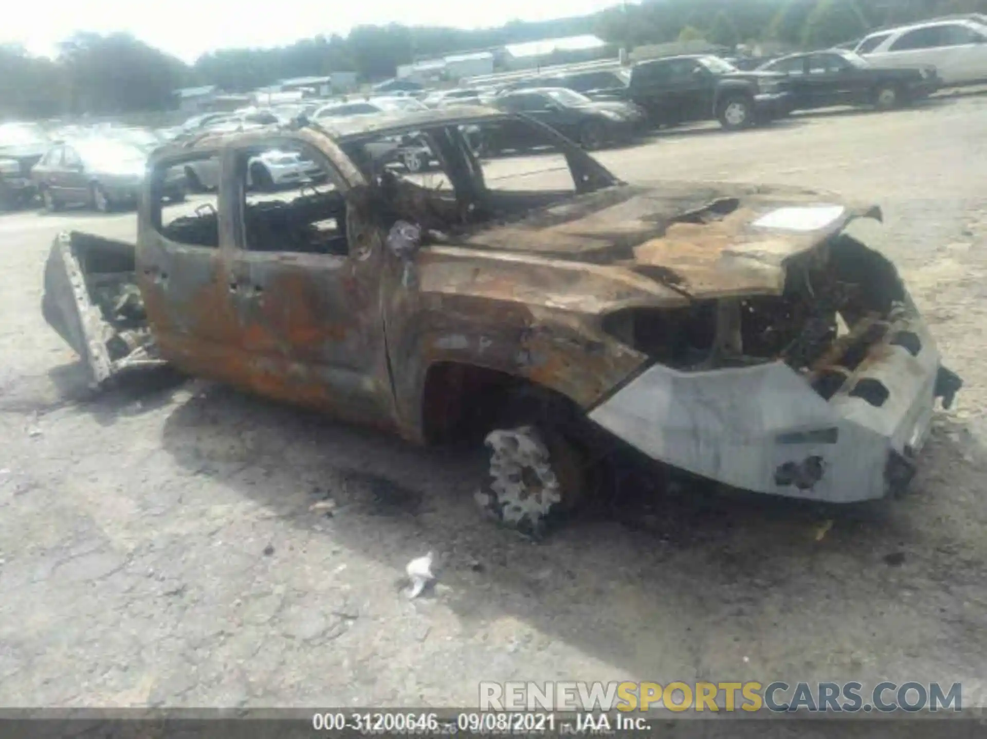 1 Photograph of a damaged car 3TMCZ5AN2KM255419 TOYOTA TACOMA 4WD 2019