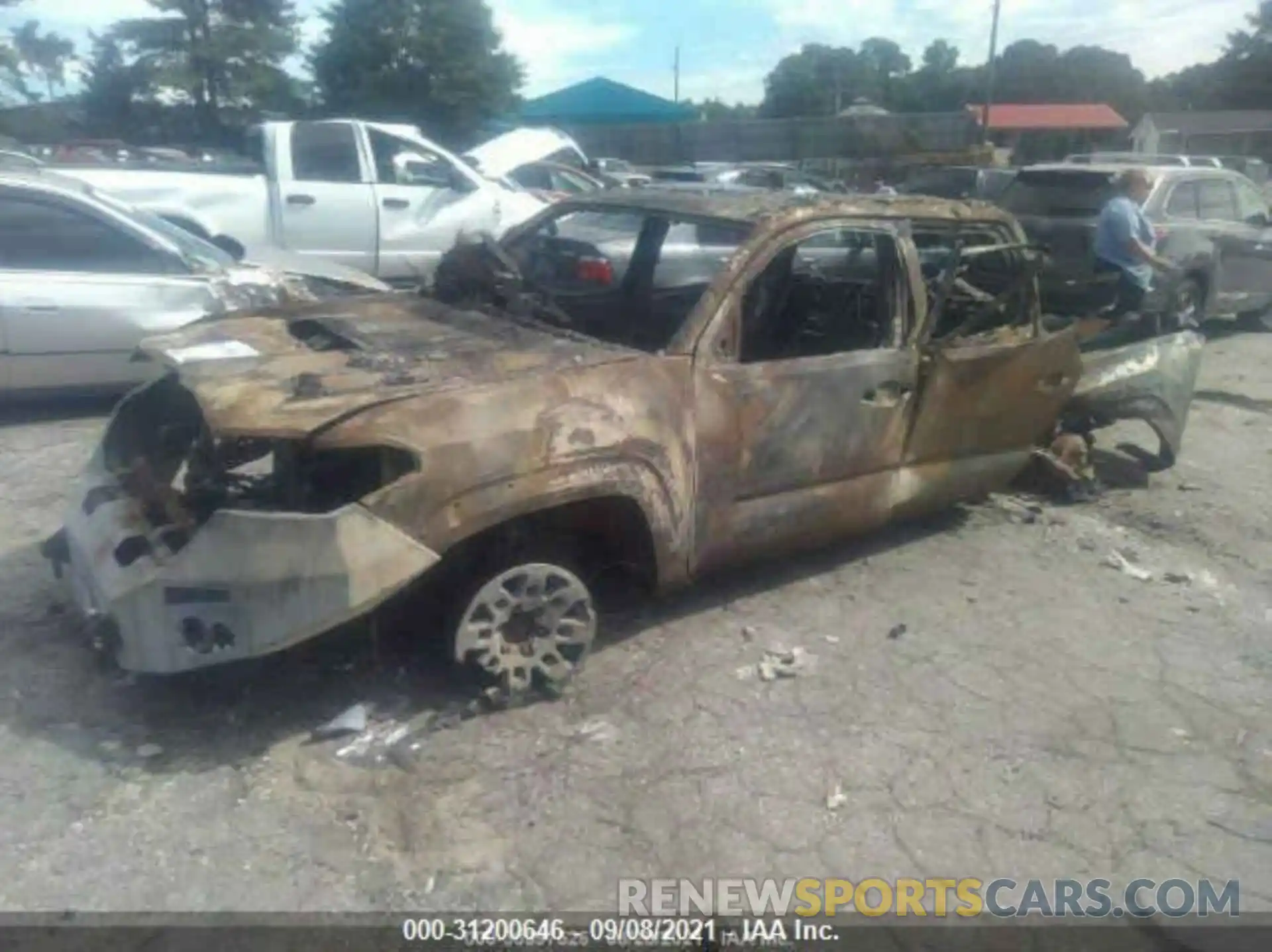 2 Photograph of a damaged car 3TMCZ5AN2KM255419 TOYOTA TACOMA 4WD 2019