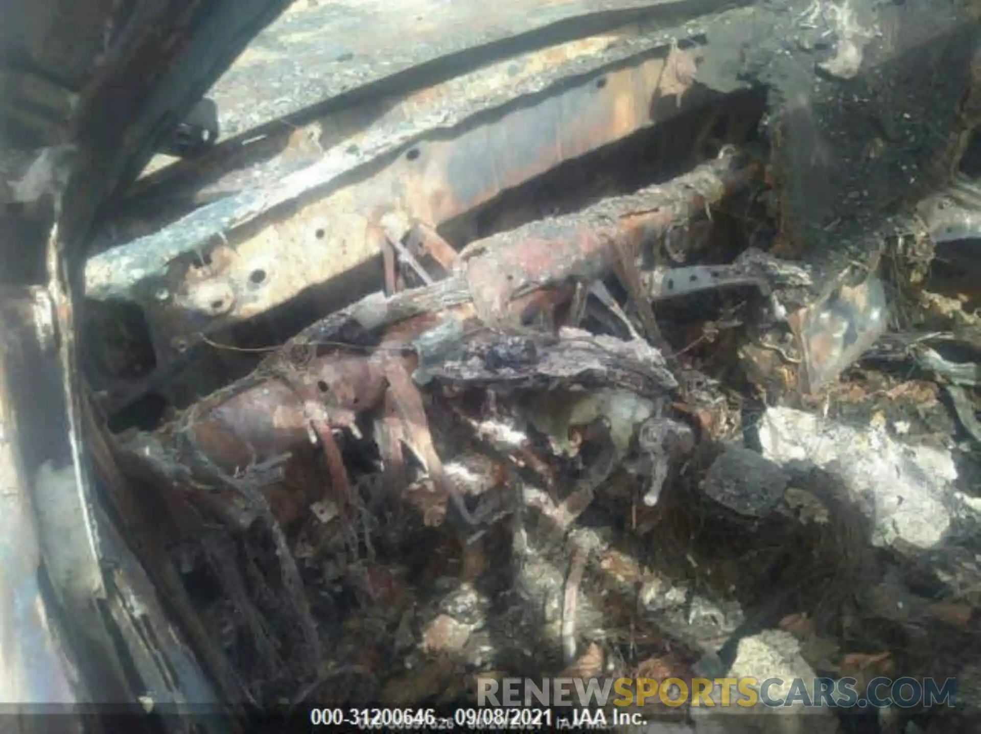 7 Photograph of a damaged car 3TMCZ5AN2KM255419 TOYOTA TACOMA 4WD 2019