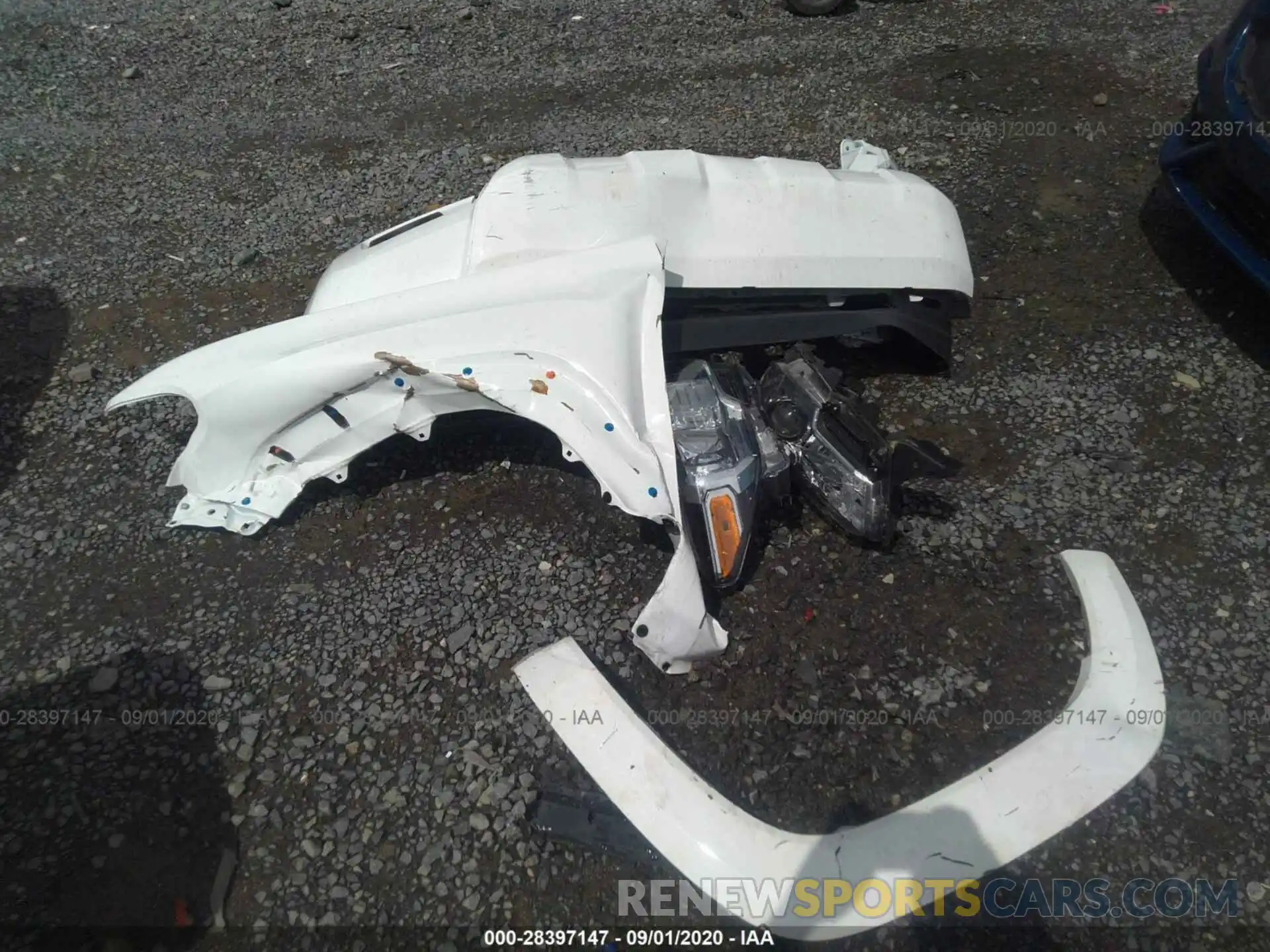 12 Photograph of a damaged car 3TMCZ5AN3KM191584 TOYOTA TACOMA 4WD 2019
