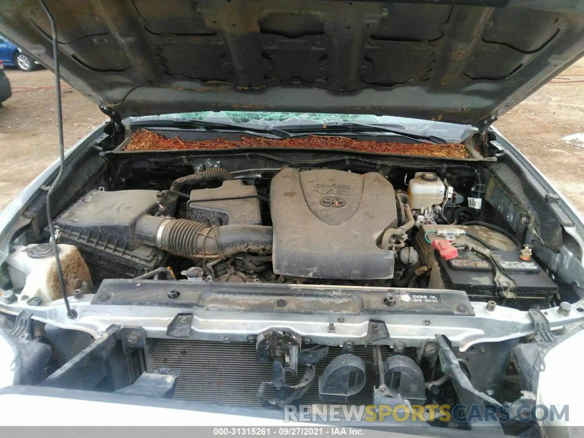 10 Photograph of a damaged car 3TMCZ5AN5KM259223 TOYOTA TACOMA 4WD 2019