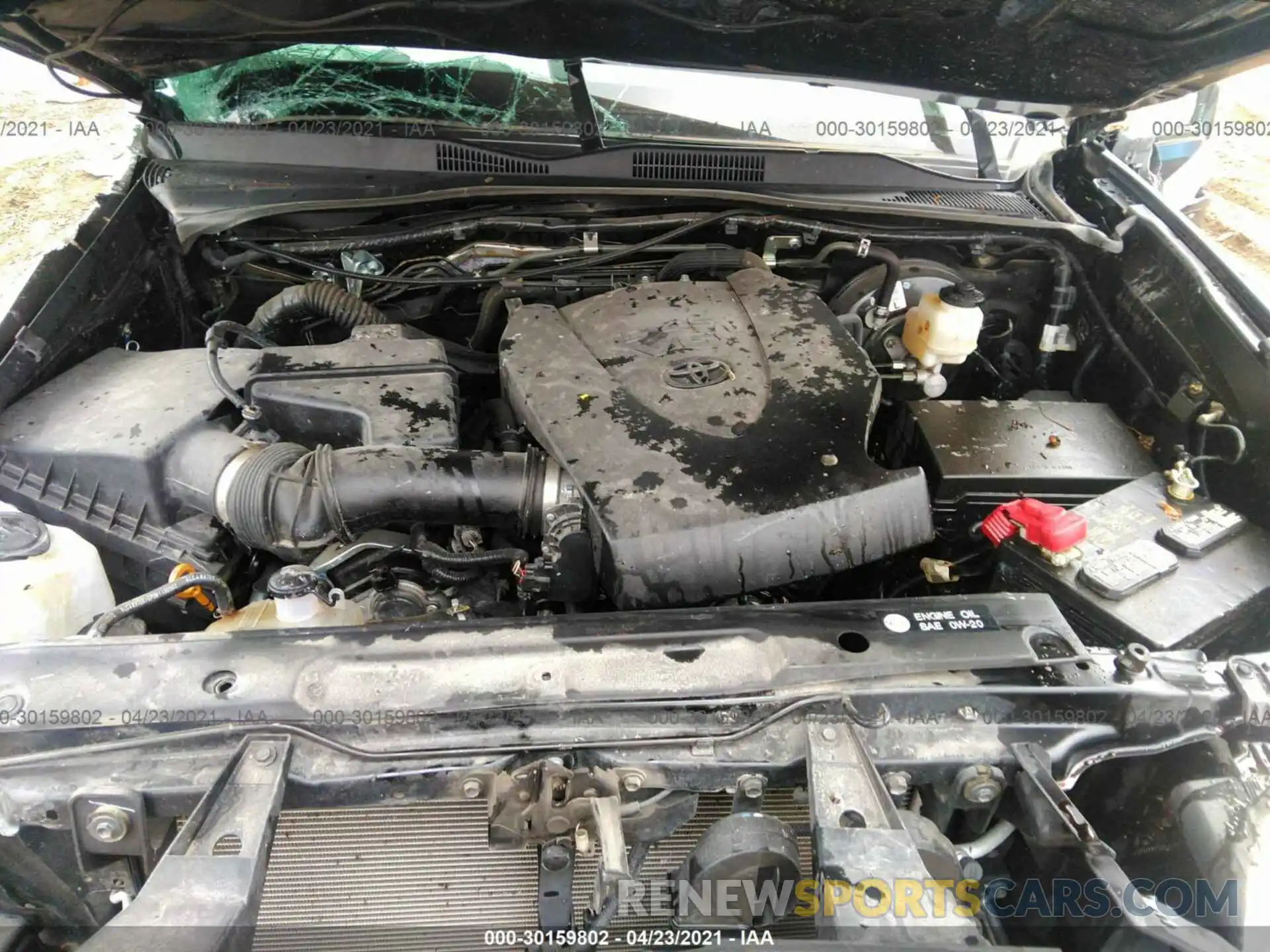 10 Photograph of a damaged car 3TMCZ5AN6KM194043 TOYOTA TACOMA 4WD 2019