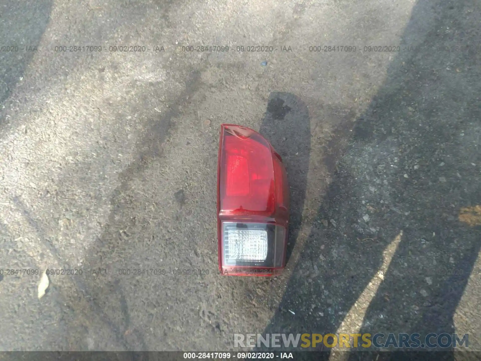 12 Photograph of a damaged car 3TMCZ5AN7KM194231 TOYOTA TACOMA 4WD 2019